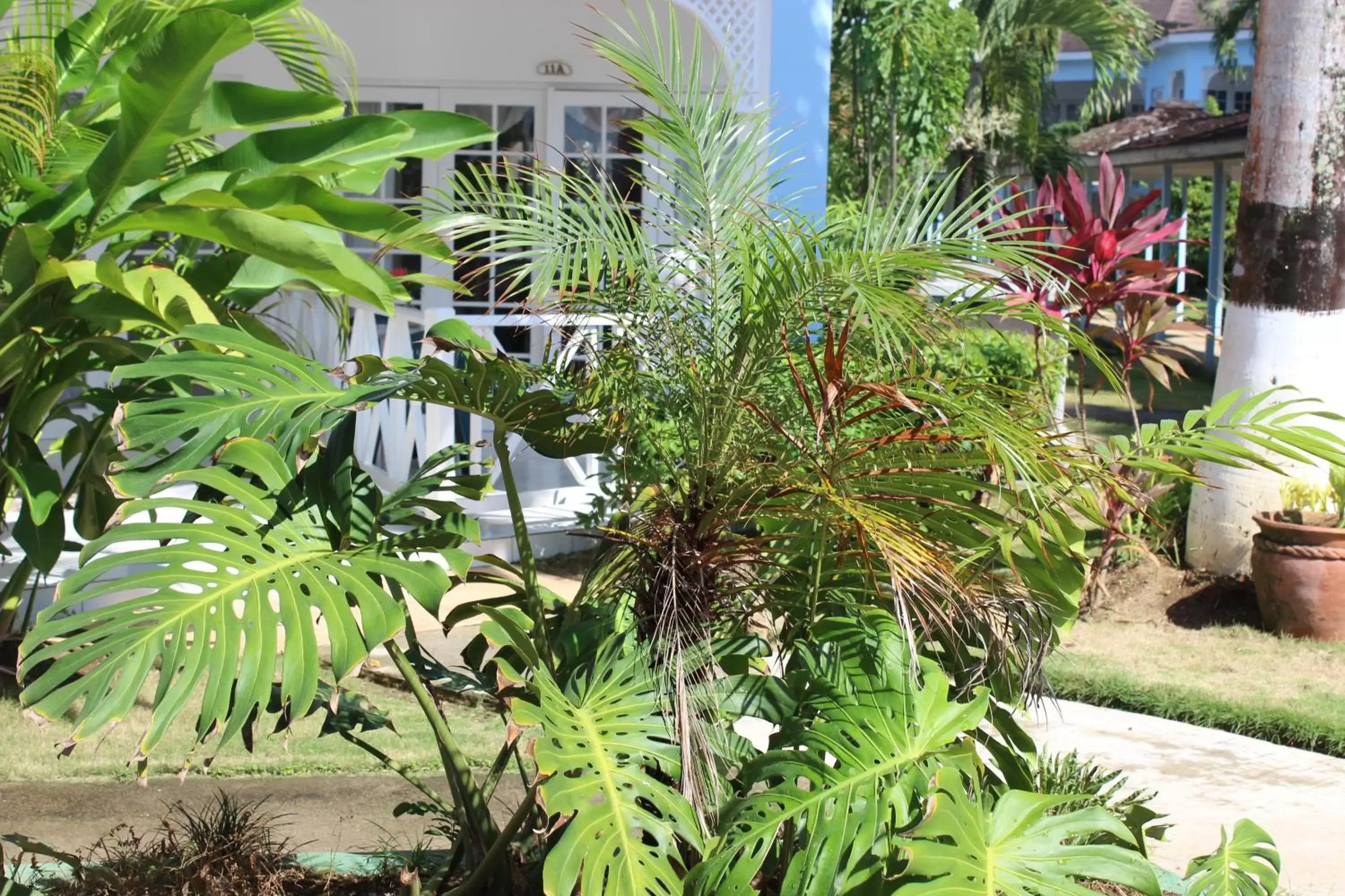 Garden in Beachcomber Club Resort