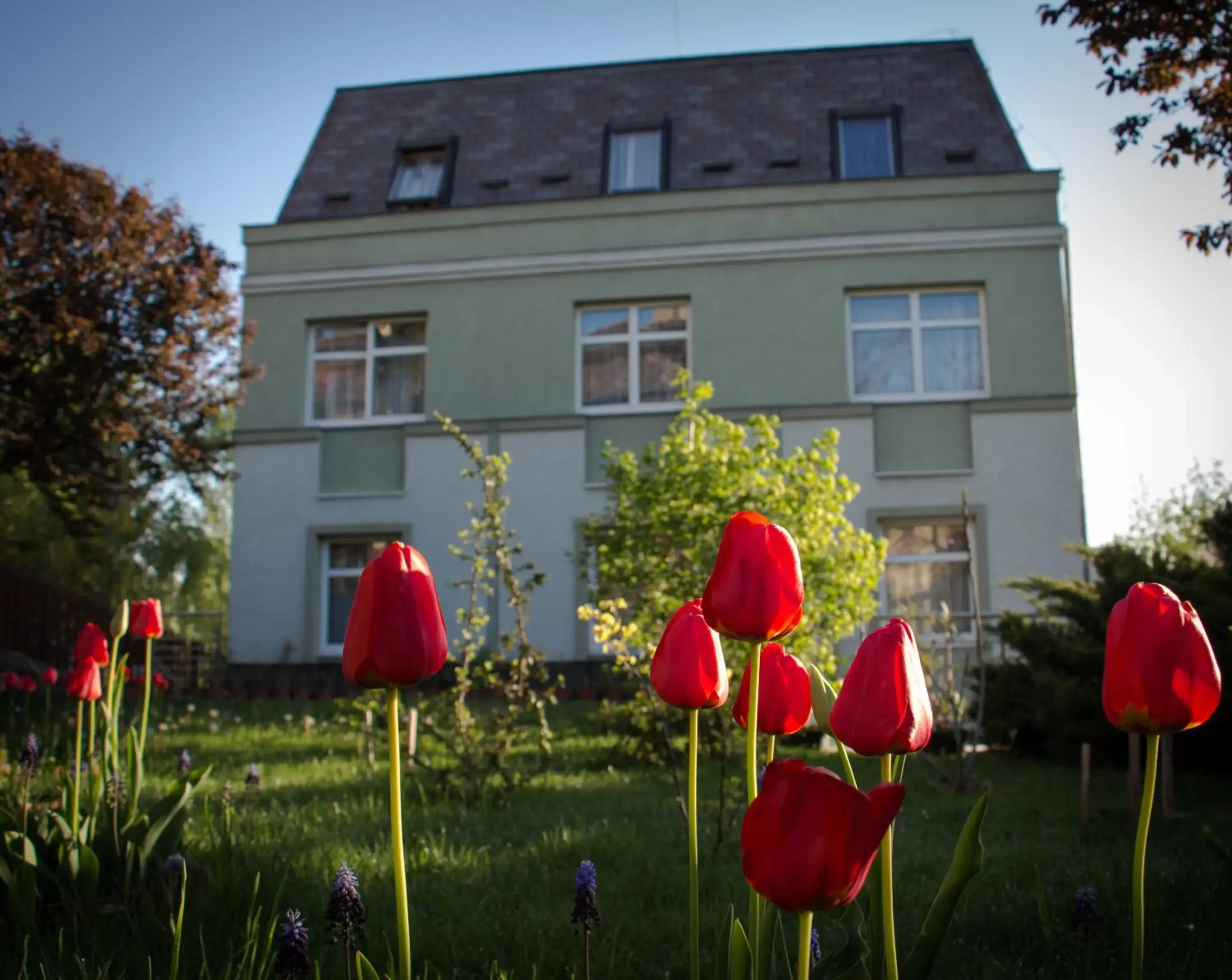 Garden, Property Building in Jagelló Business Hotel