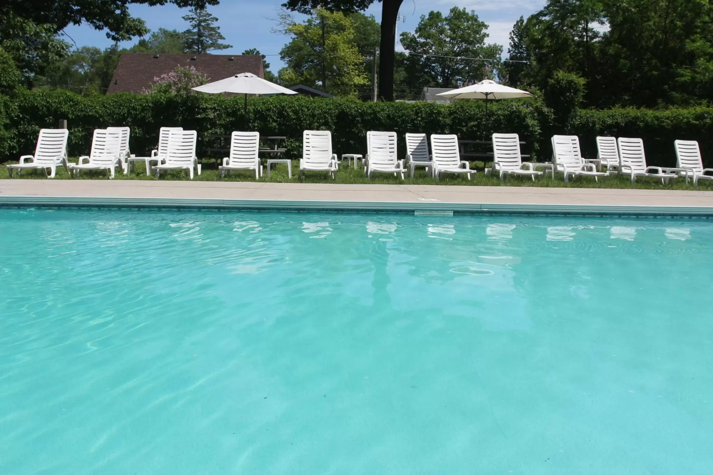 Swimming Pool in Saga Resort