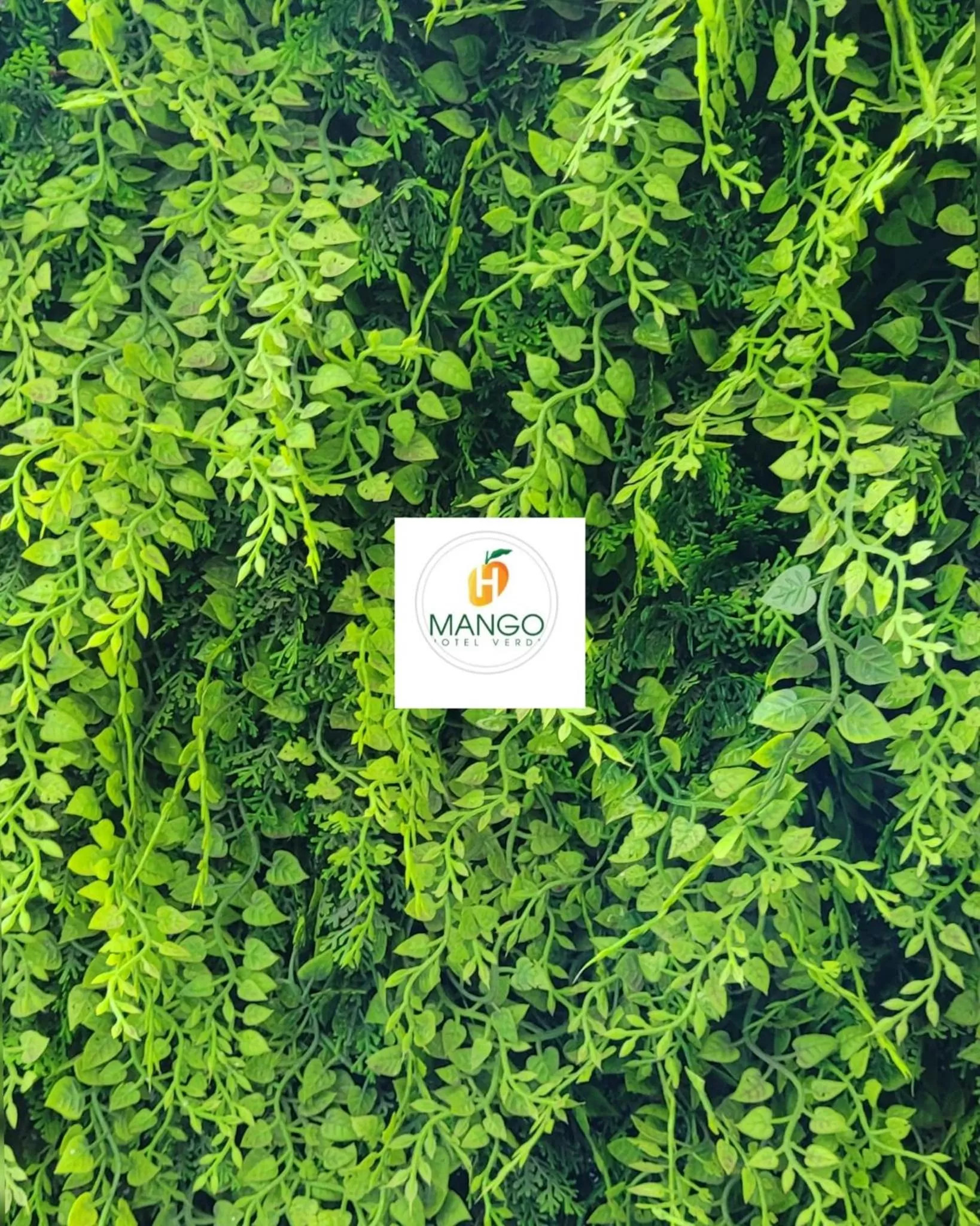 Logo/Certificate/Sign in Hotel Mango Airport