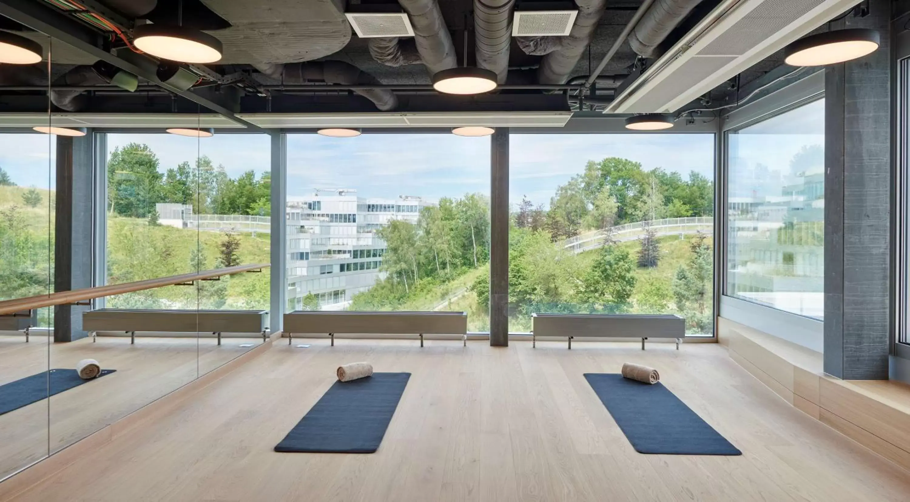 Natural landscape in Hyatt Regency Zurich Airport Circle