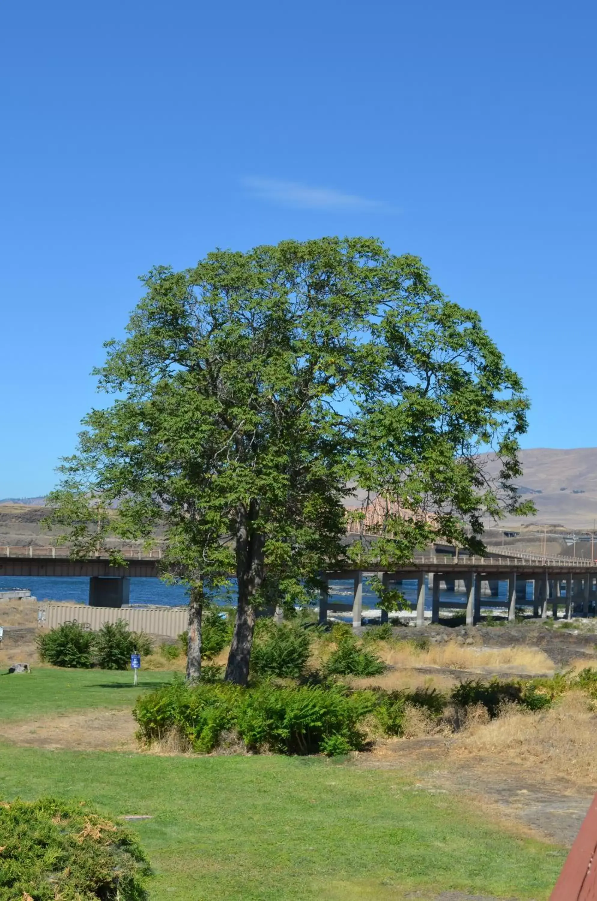 Nearby landmark, Property Building in Shilo Inns Suites The Dalles