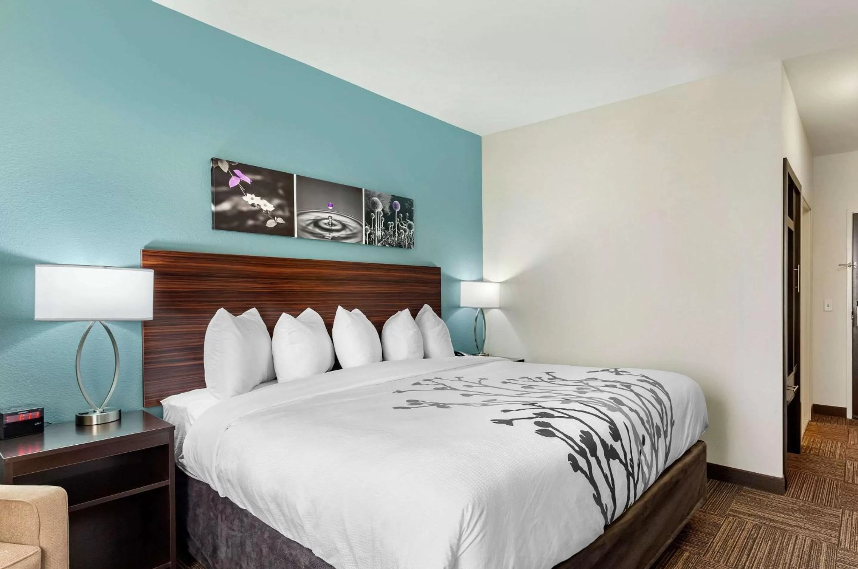 Photo of the whole room, Bed in Sleep Inn Lancaster Dallas South