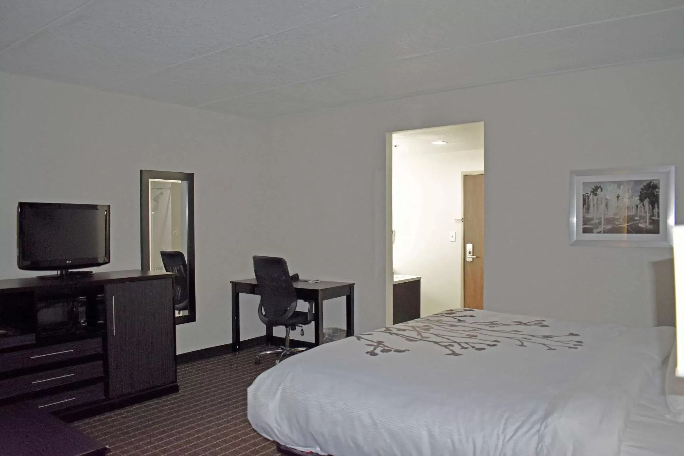 Bedroom, Bed in Sleep Inn & Suites West Knoxville