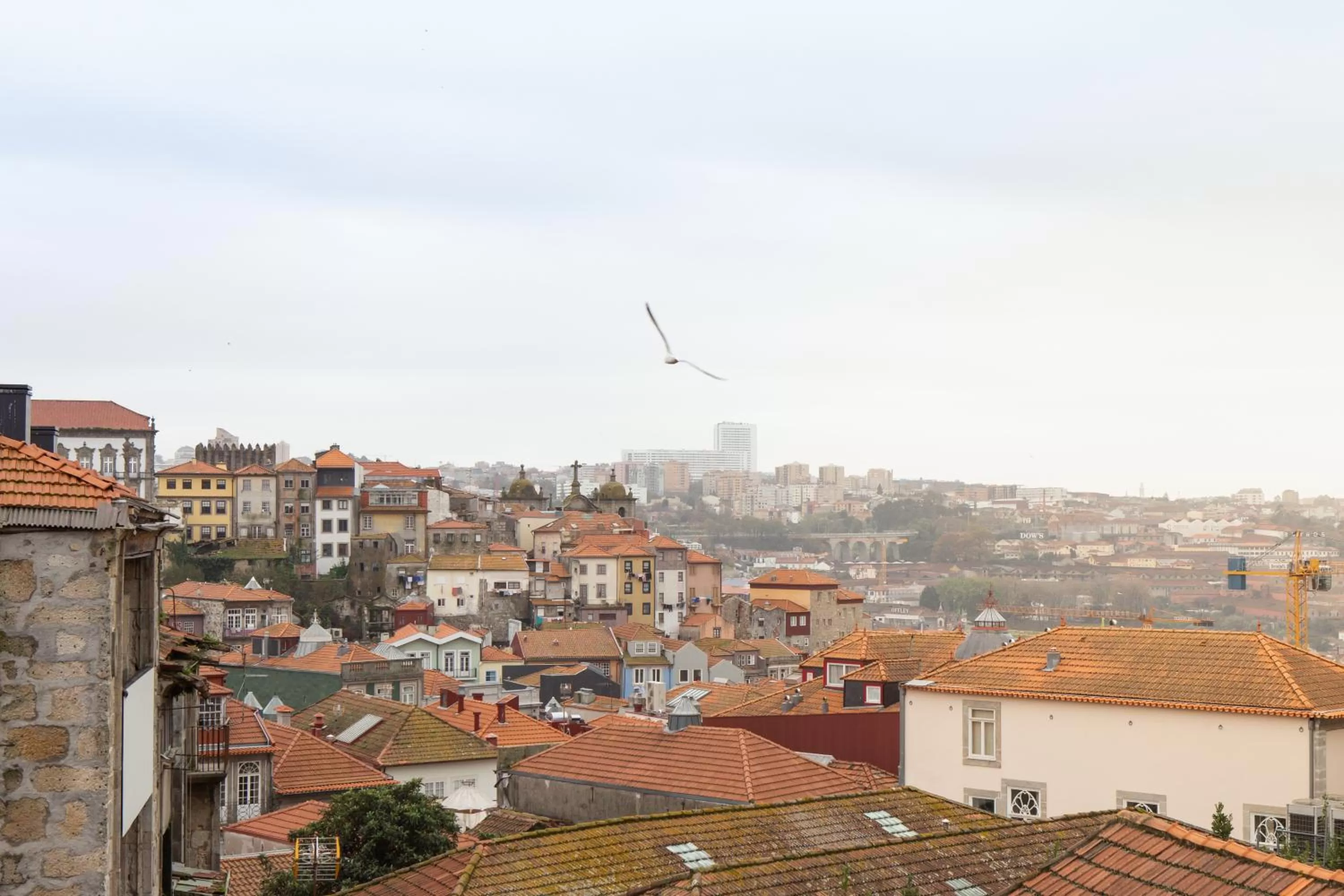 City view in House of Artists