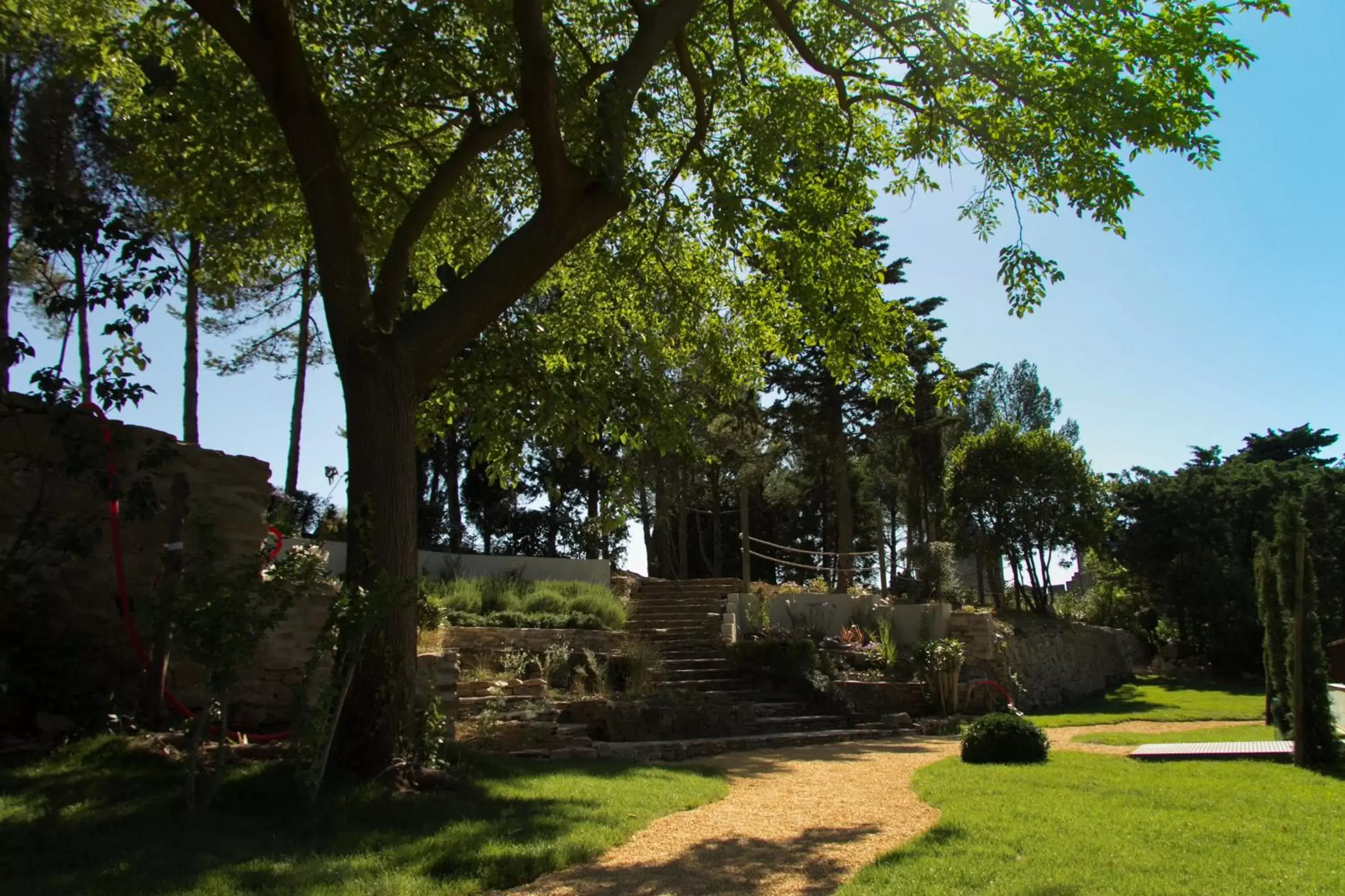 Garden in Hotel Pont Levis - Franck Putelat