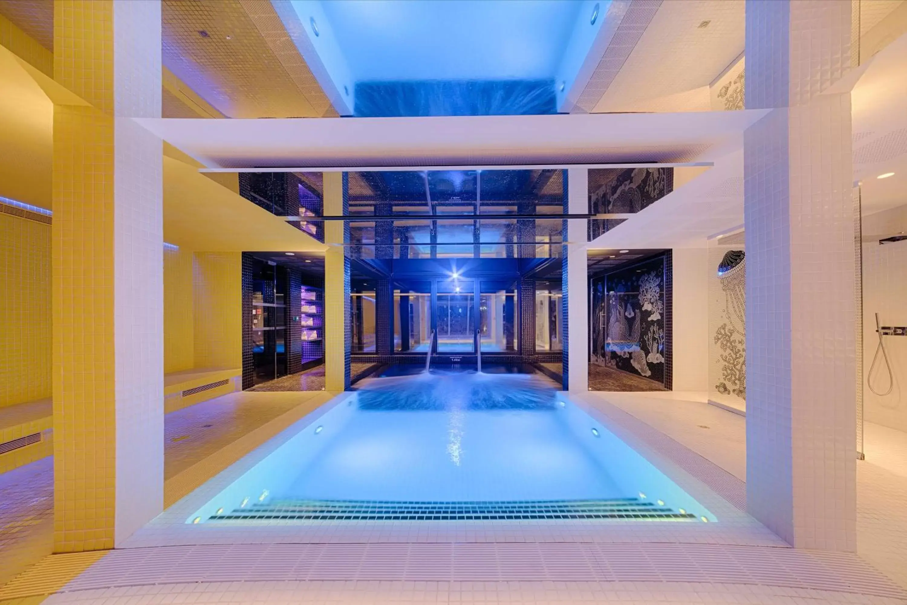 Spa and wellness centre/facilities, Swimming Pool in nhow Marseille