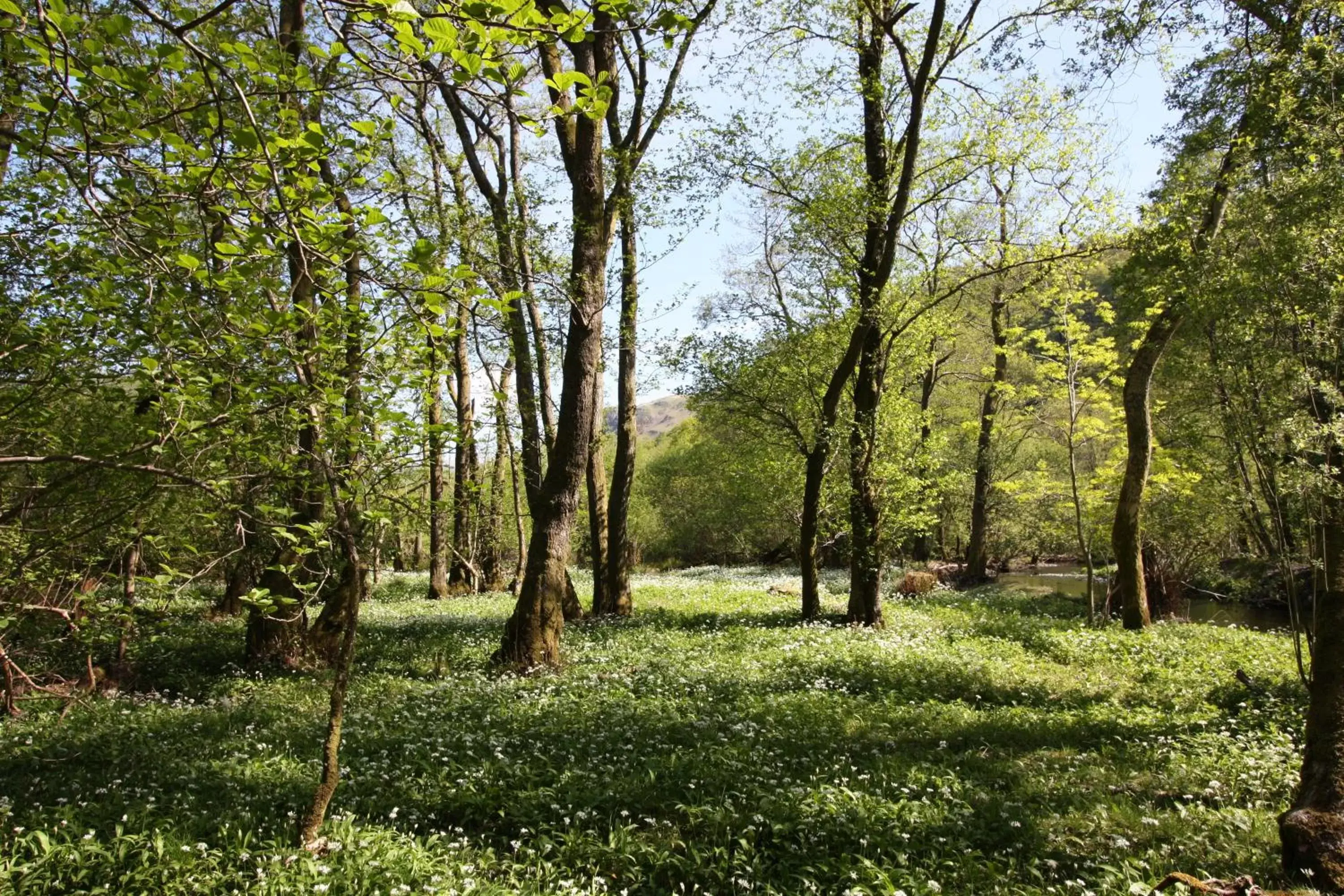 Area and facilities, Natural Landscape in The Mary Mount Hotel