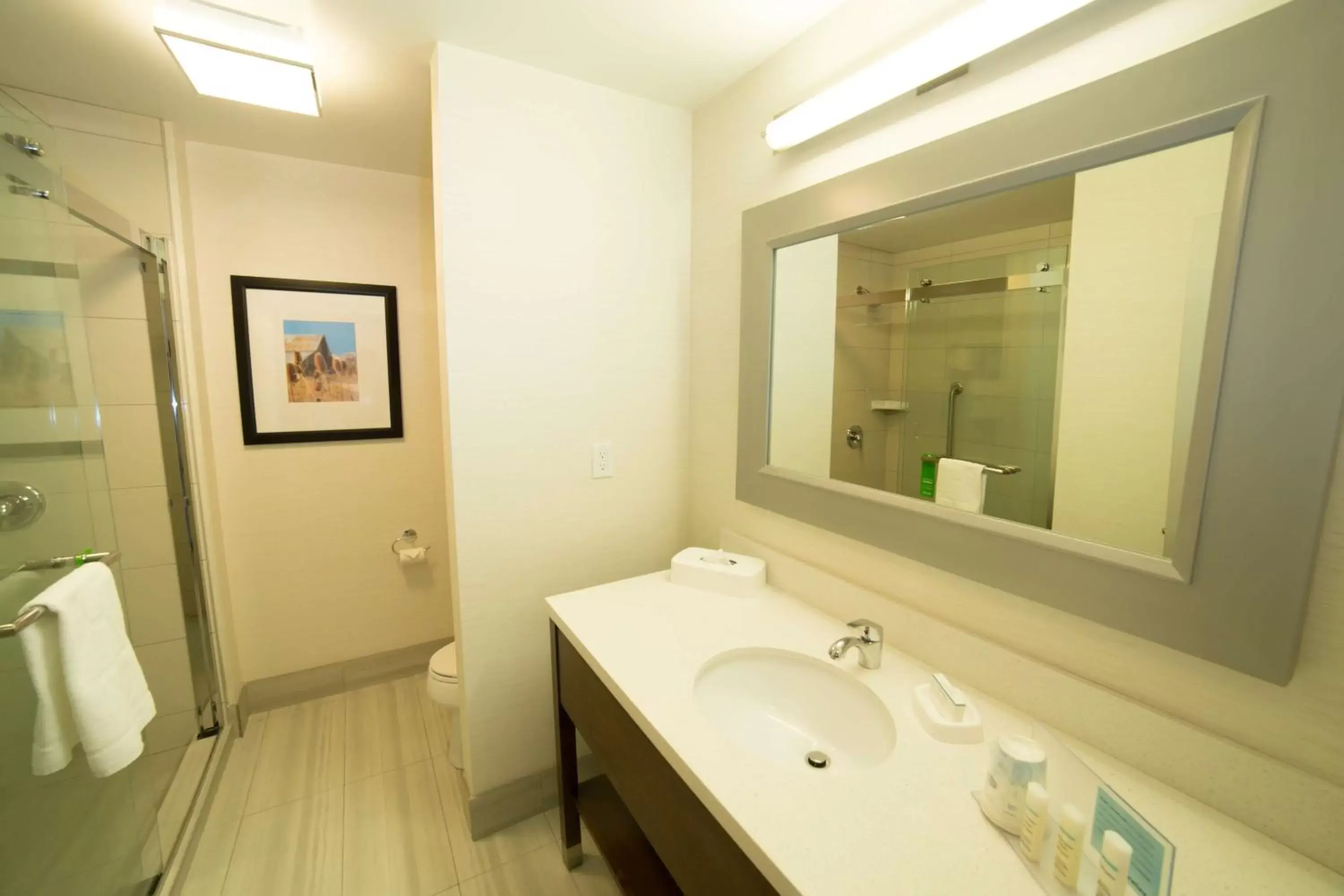 Bathroom in Hampton Inn by Hilton Lloydminster Bathroom in Hampton Inn by Hilton Lloydminster