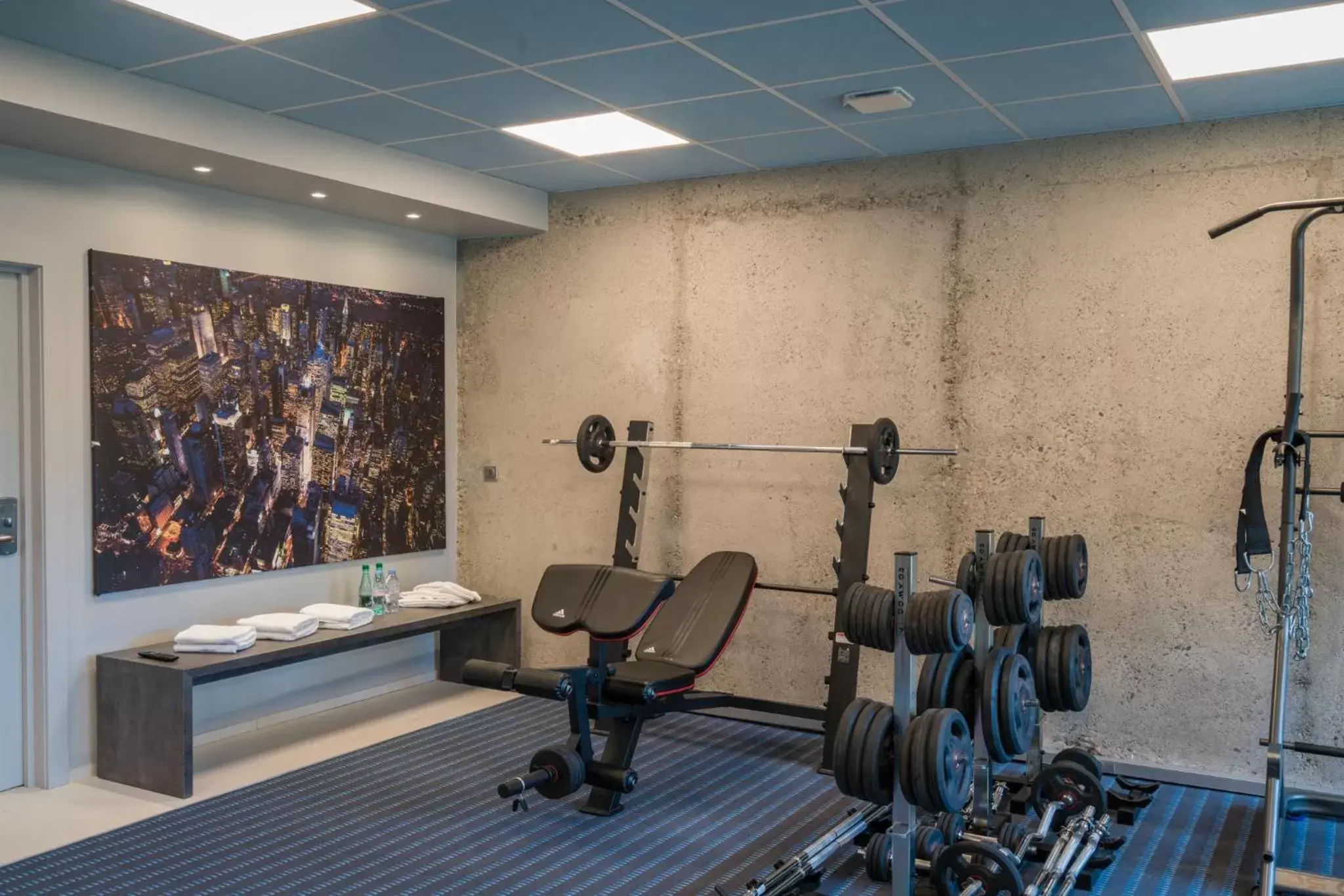 Fitness Center/Facilities in Mercure Mulhouse Centre