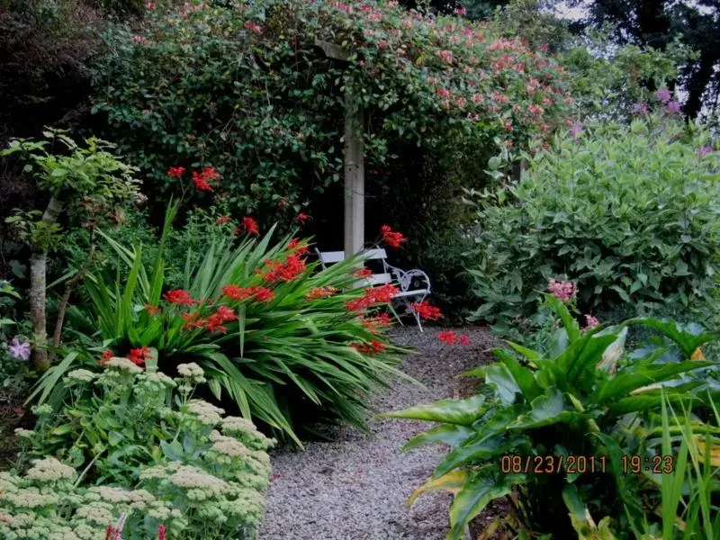 Patio/Outdoor Area in Conways B&B