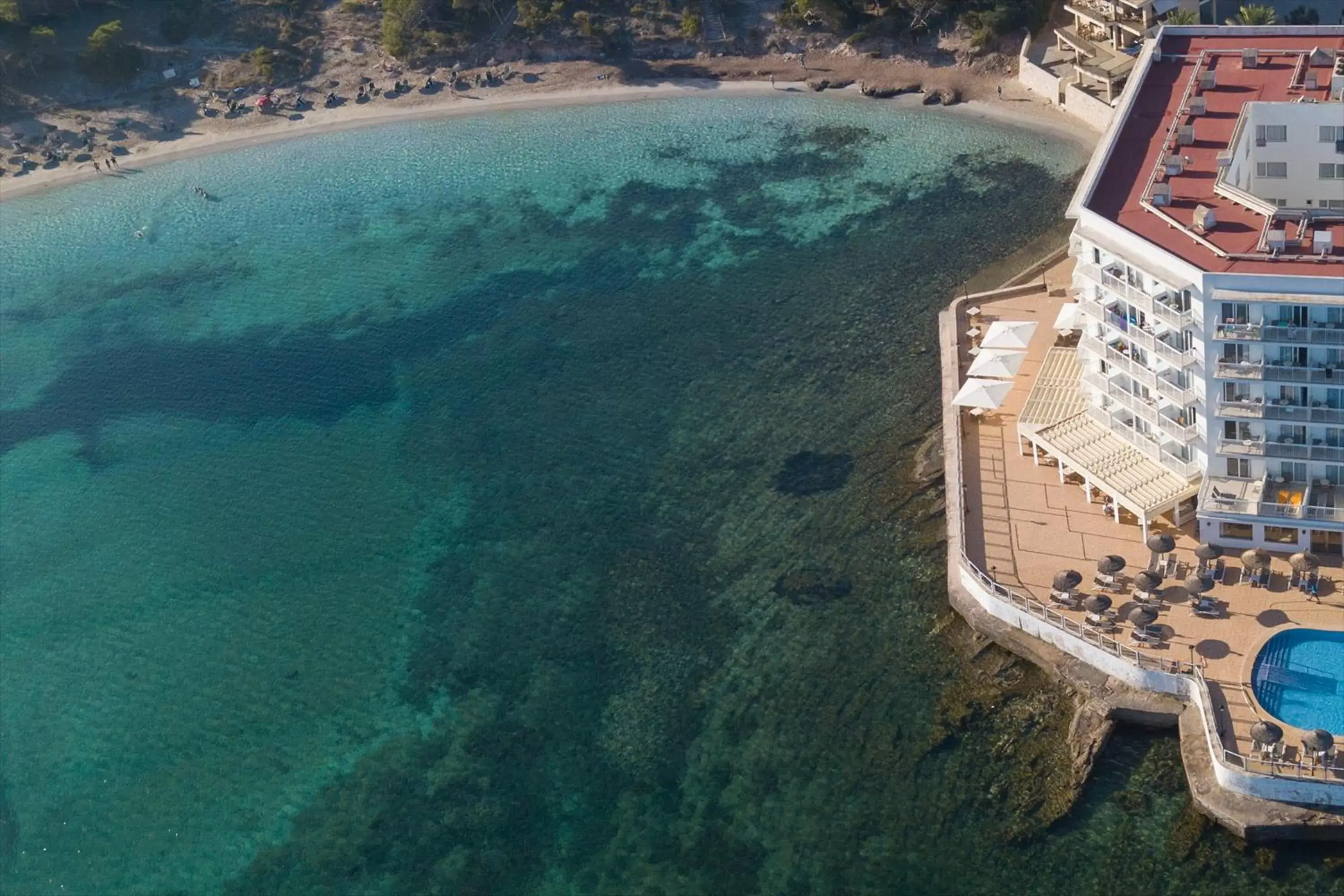 Bird's eye view, Bird's-eye View in Universal Hotel Marqués