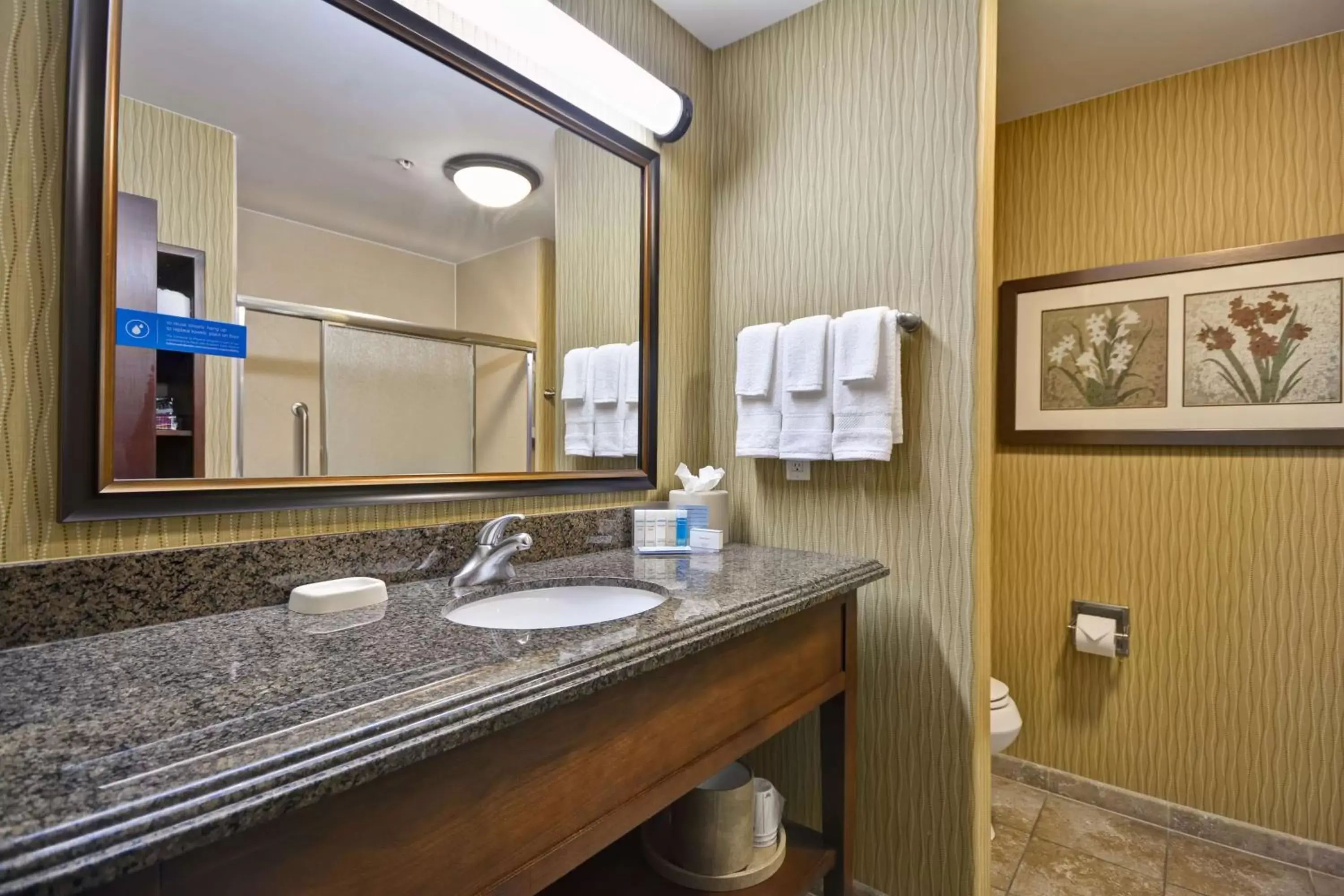 Bathroom in Hampton Inn & Suites Brenham