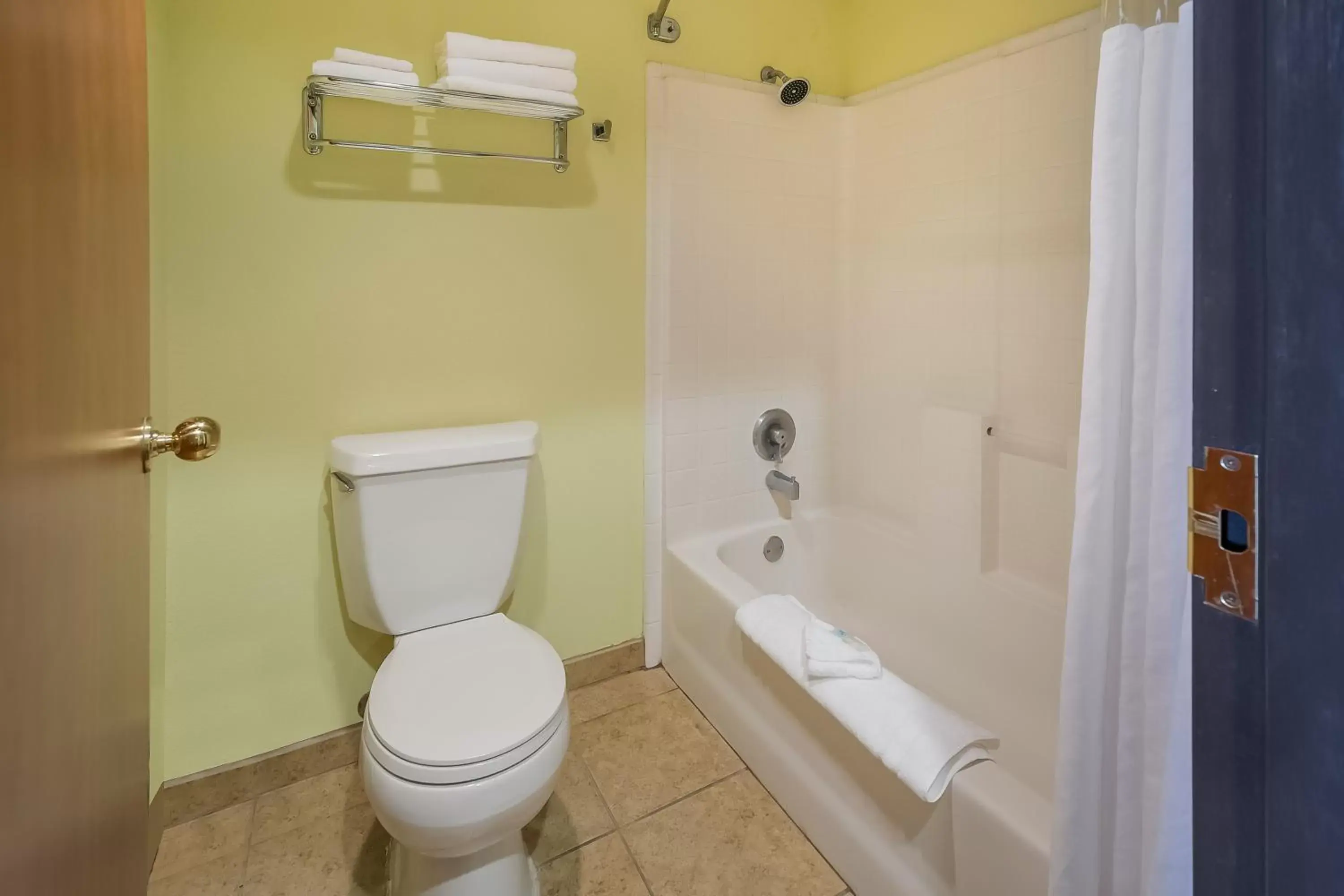 Shower, Bathroom in Americas Best Value Sandman Inn