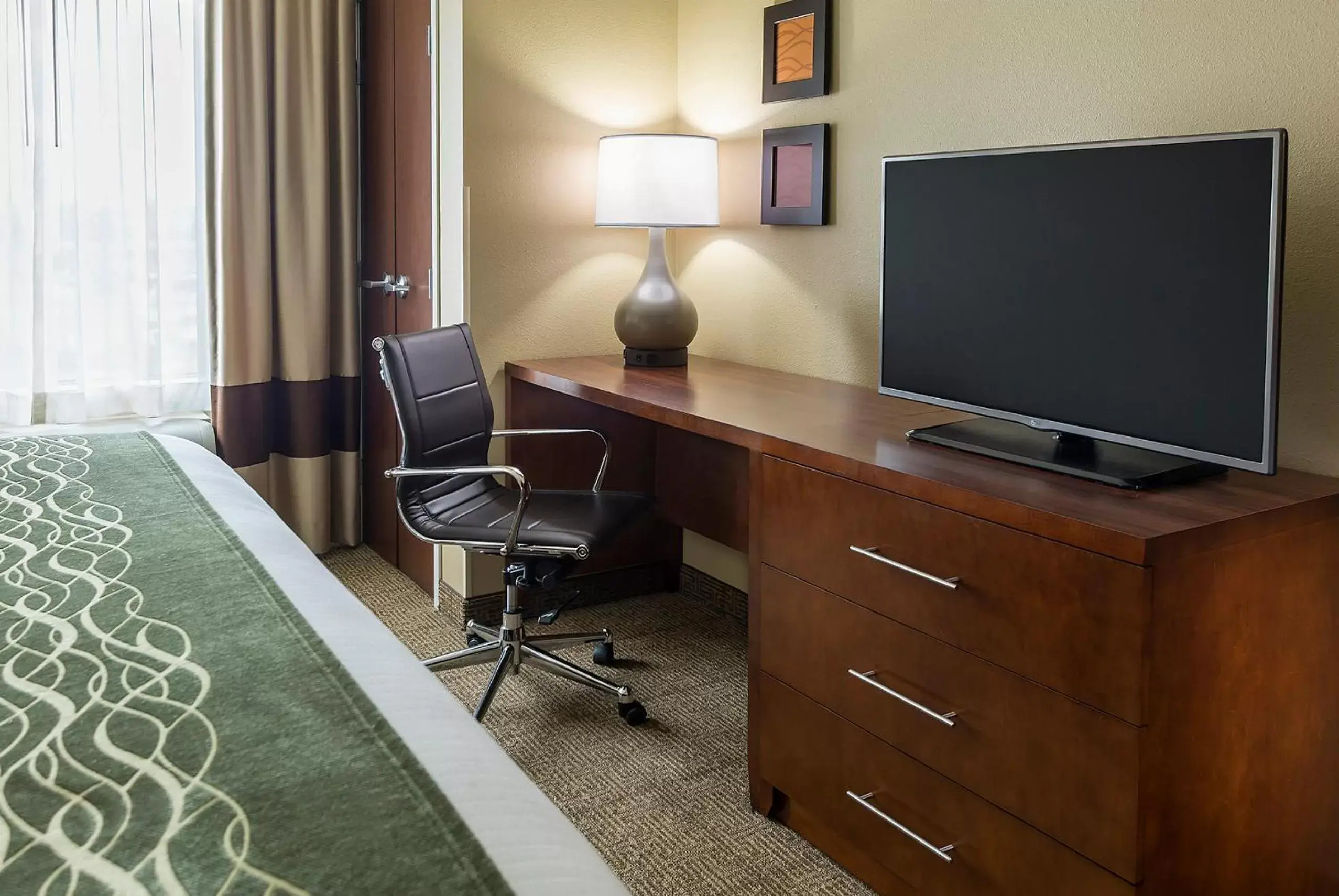 Decorative detail, TV/Entertainment Center in Comfort Inn & Suites West - Medical Center