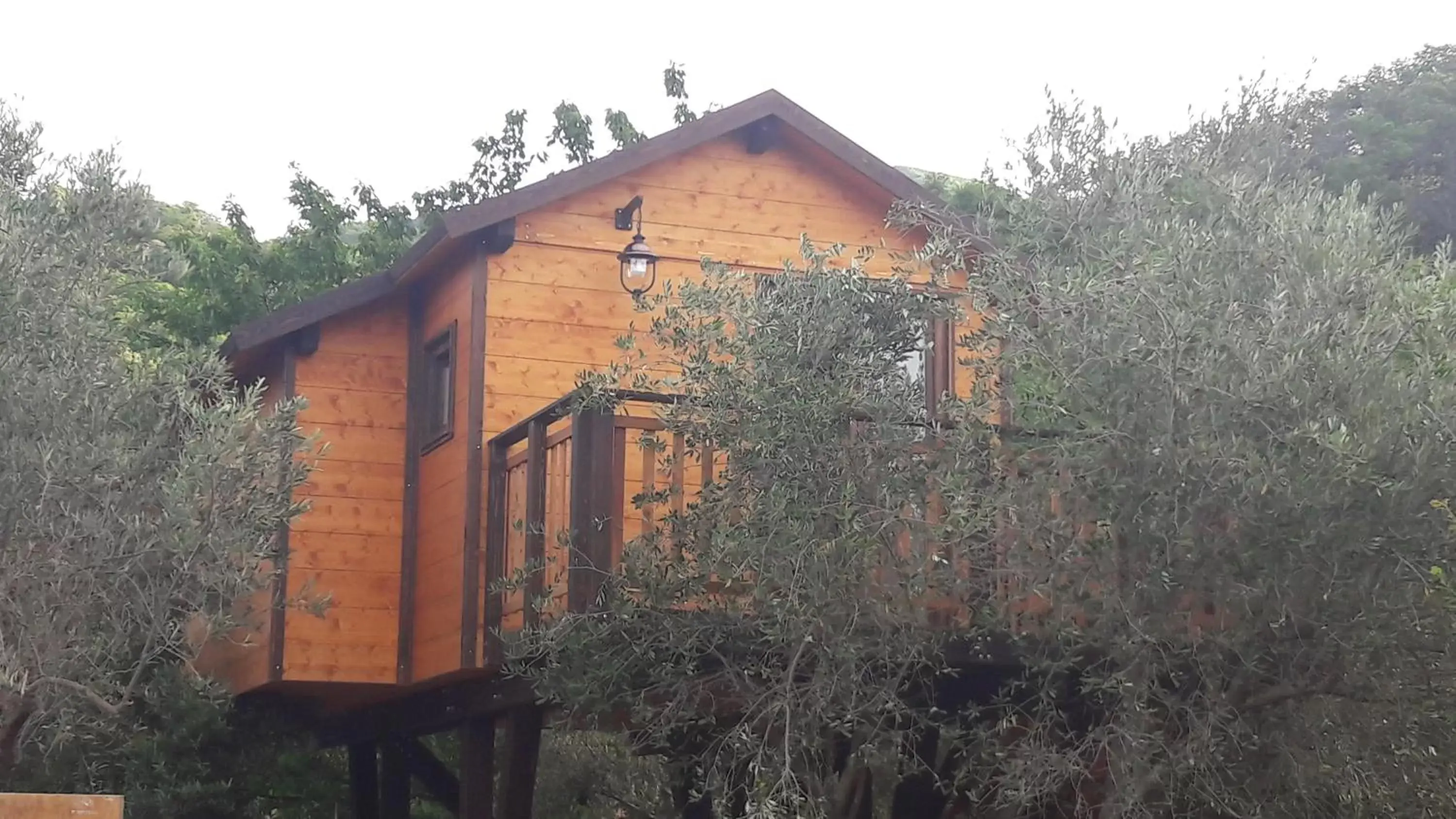 Property Building in Palazzo Conforti Tree House Resort