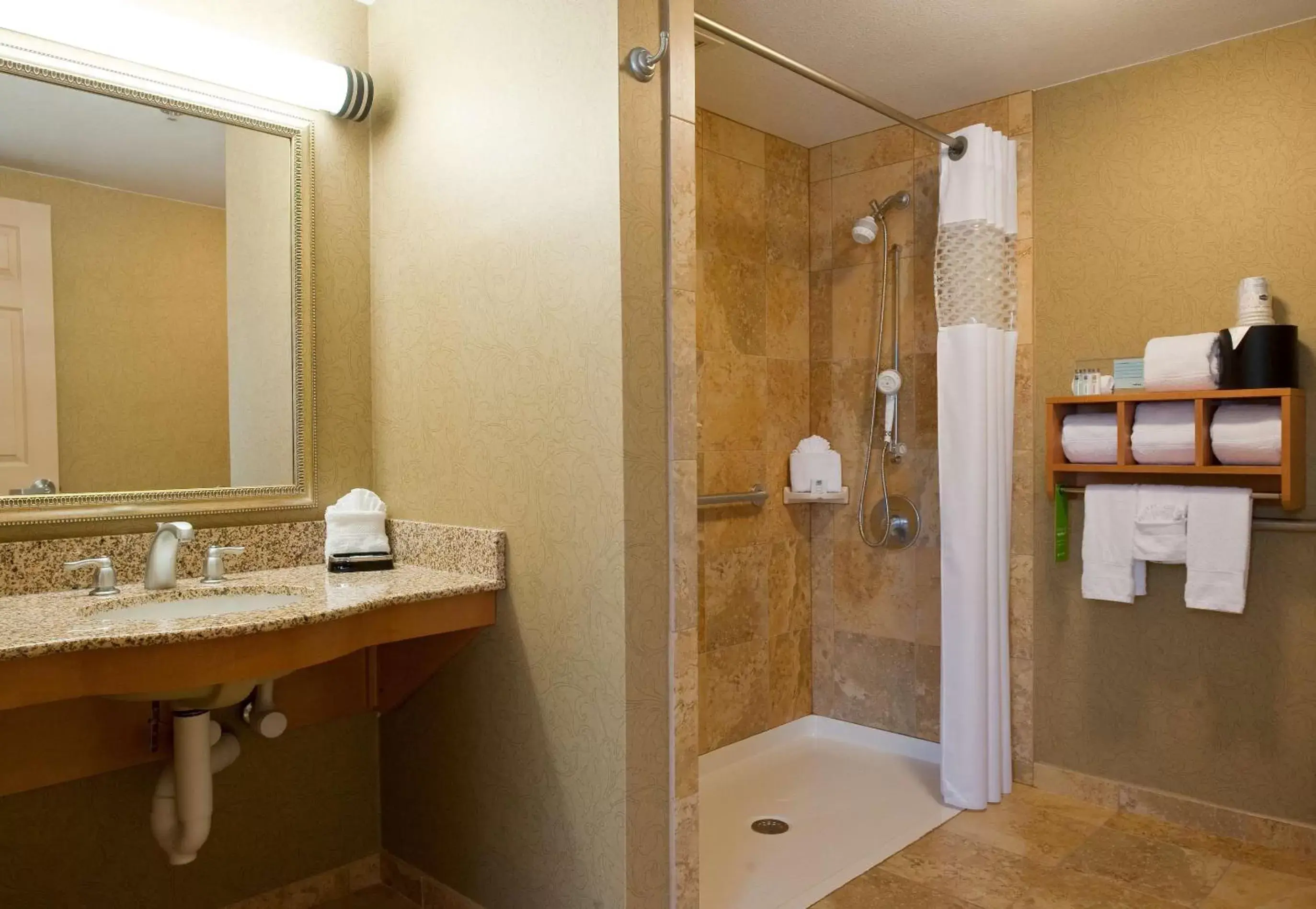 Bathroom in Hampton Inn Nashville/Brentwood-I-65S