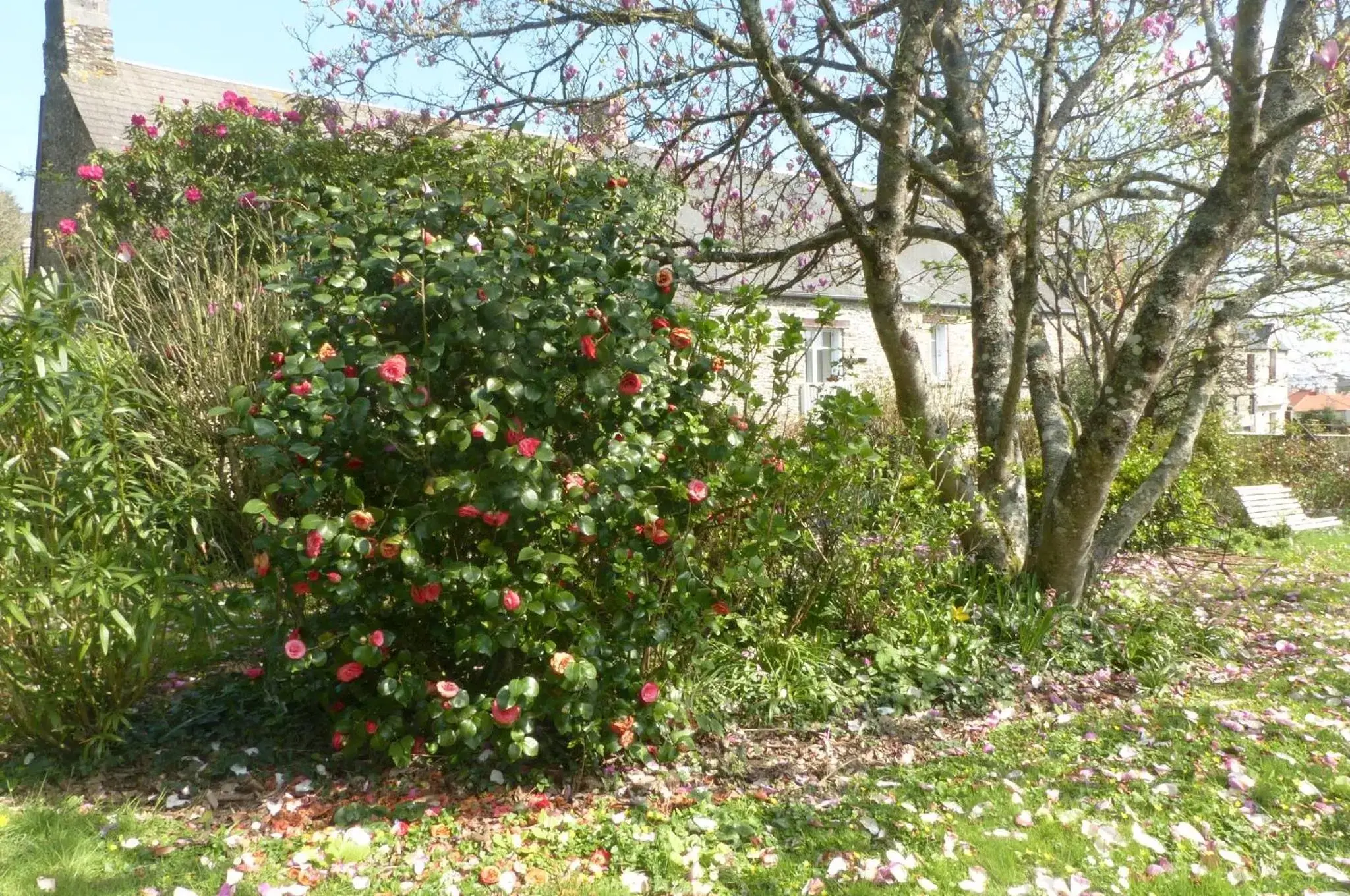 Garden in Maison d'hôtes KerCalow, Chambres d'hôtes