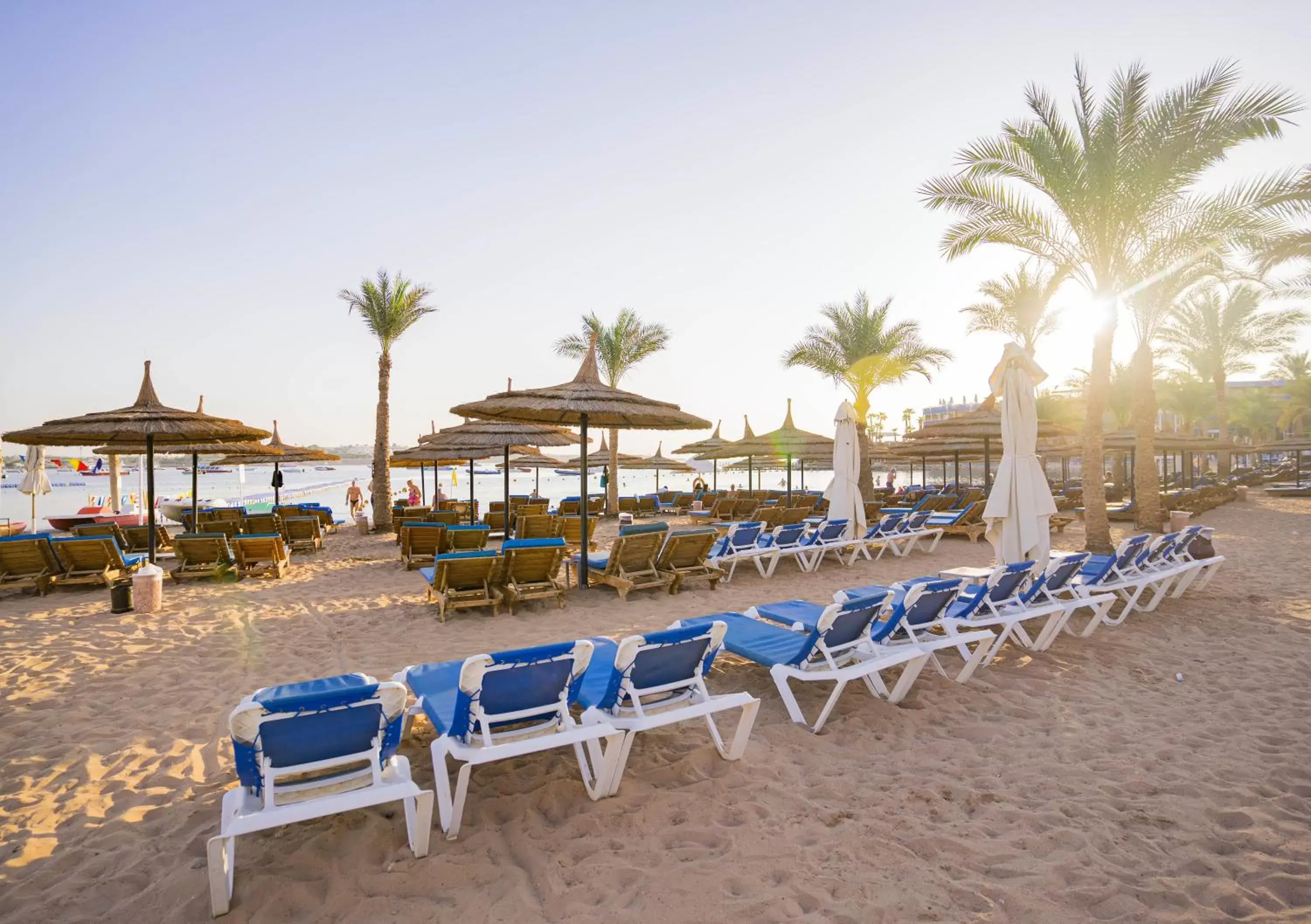 Beach in Marina Sharm Hotel