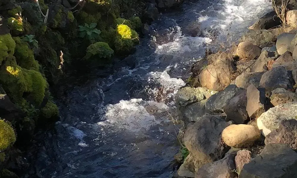 View (from property/room) in The Waterfront at Potlatch View (from property/room) in The Waterfront at Potlatch
