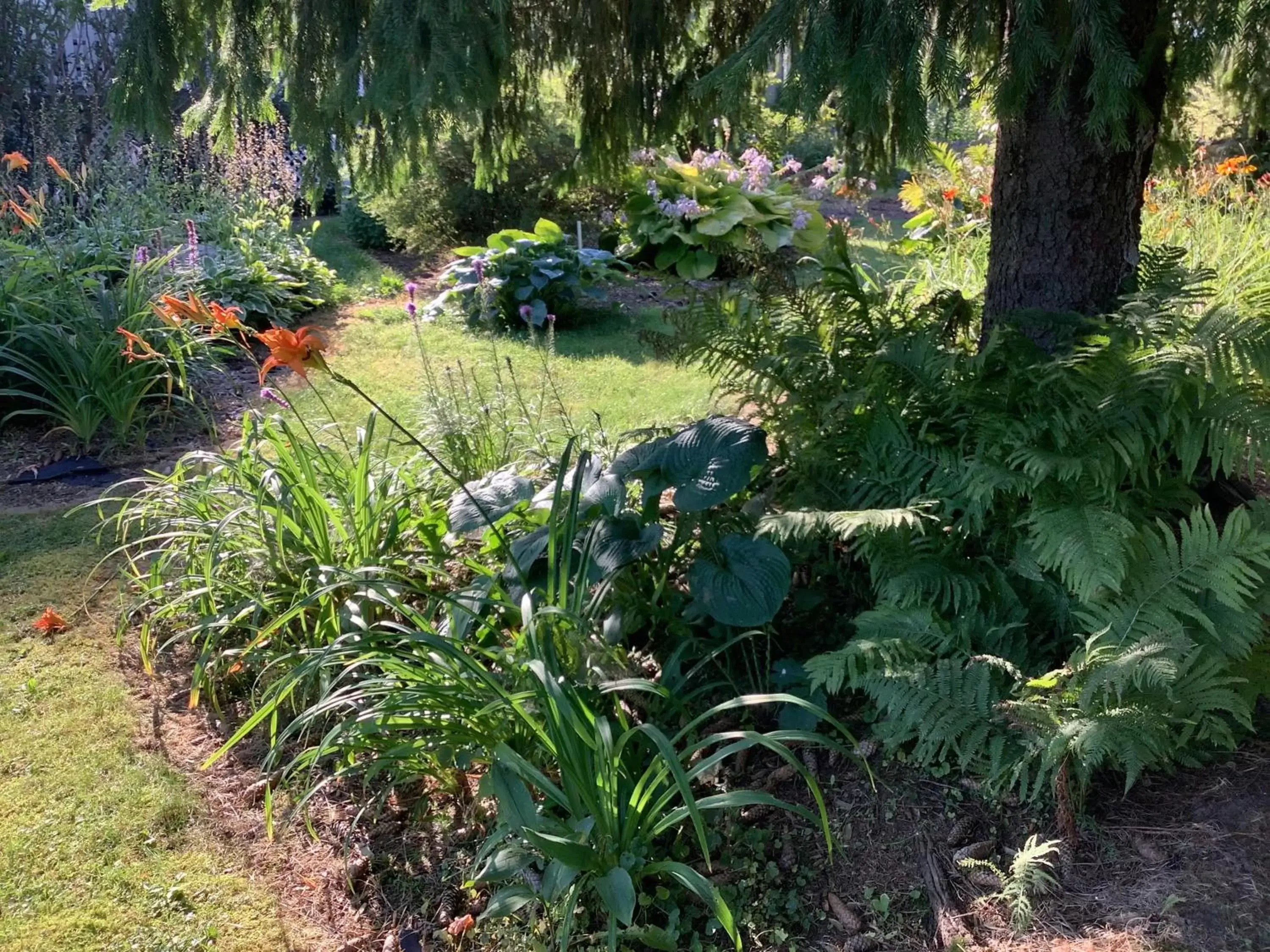 Garden in Les saisons du fleuve