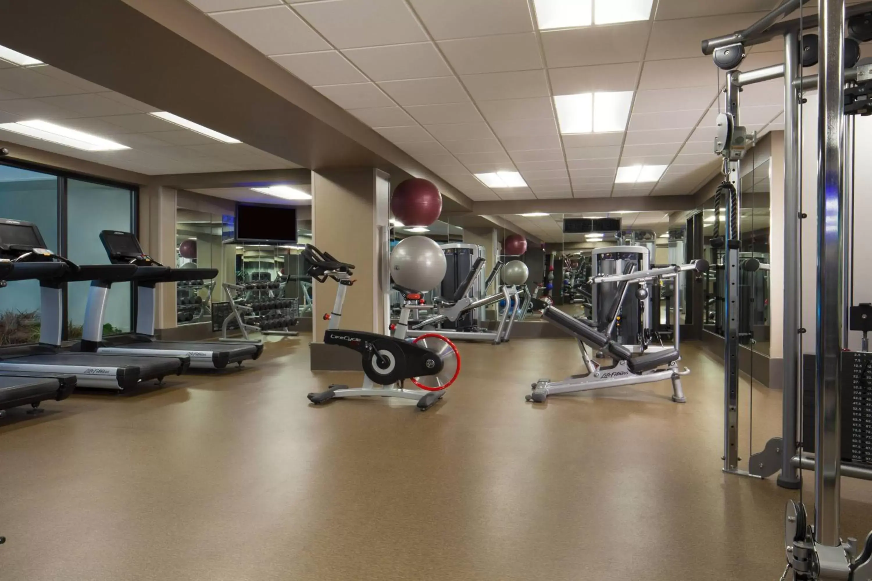 Fitness centre/facilities, Fitness Center/Facilities in Dallas/Fort Worth Airport Marriott