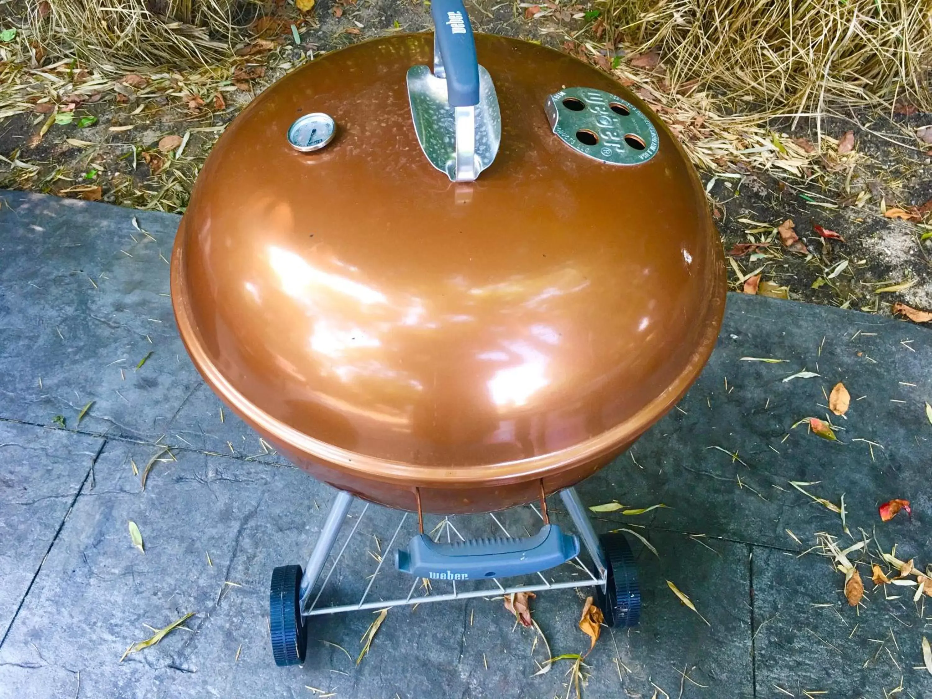 BBQ facilities in Shorewood Inn