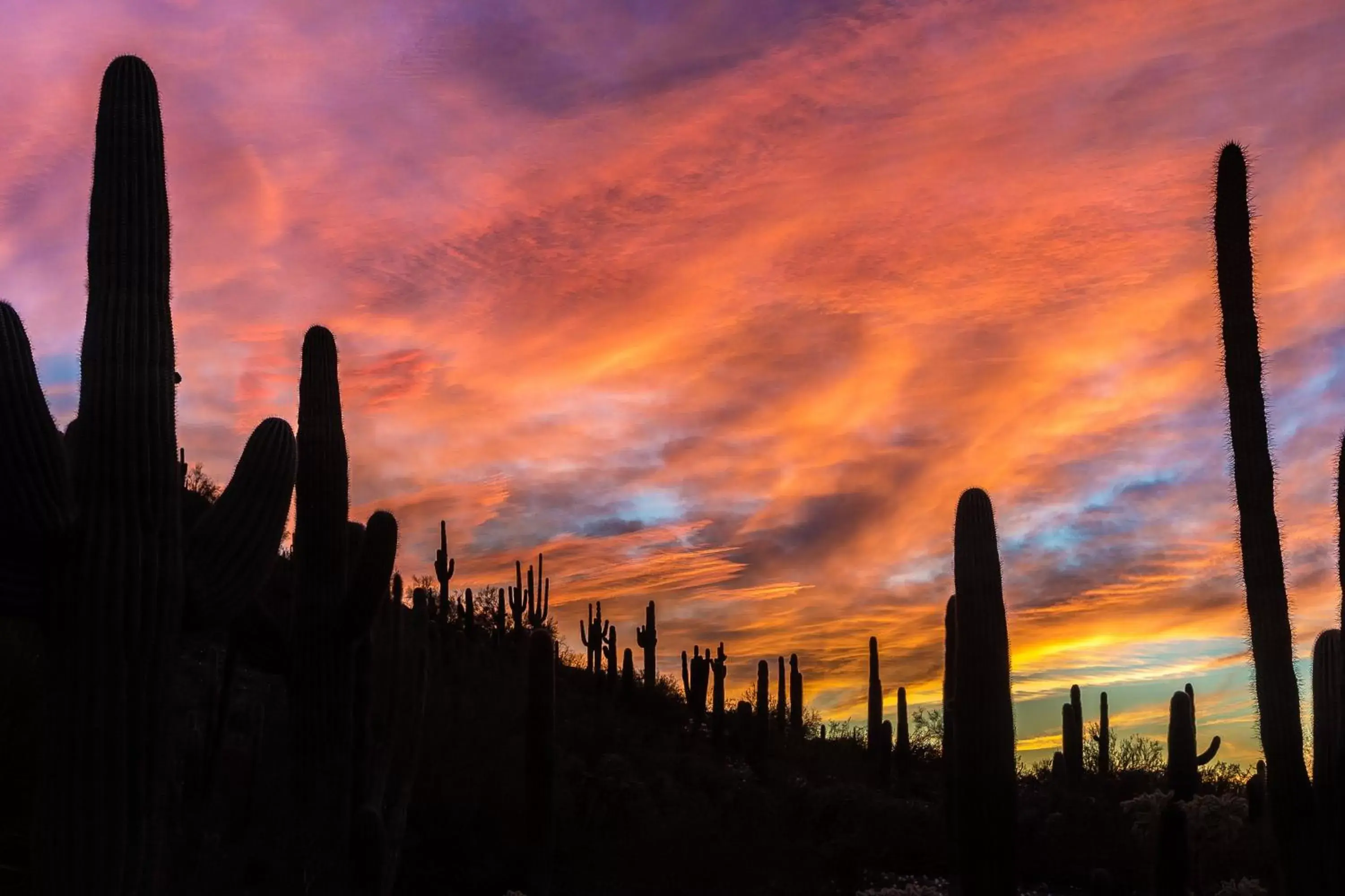 Other, Sunrise/Sunset in Holiday Inn Express & Suites - Phoenix - Airport North, an IHG Hotel