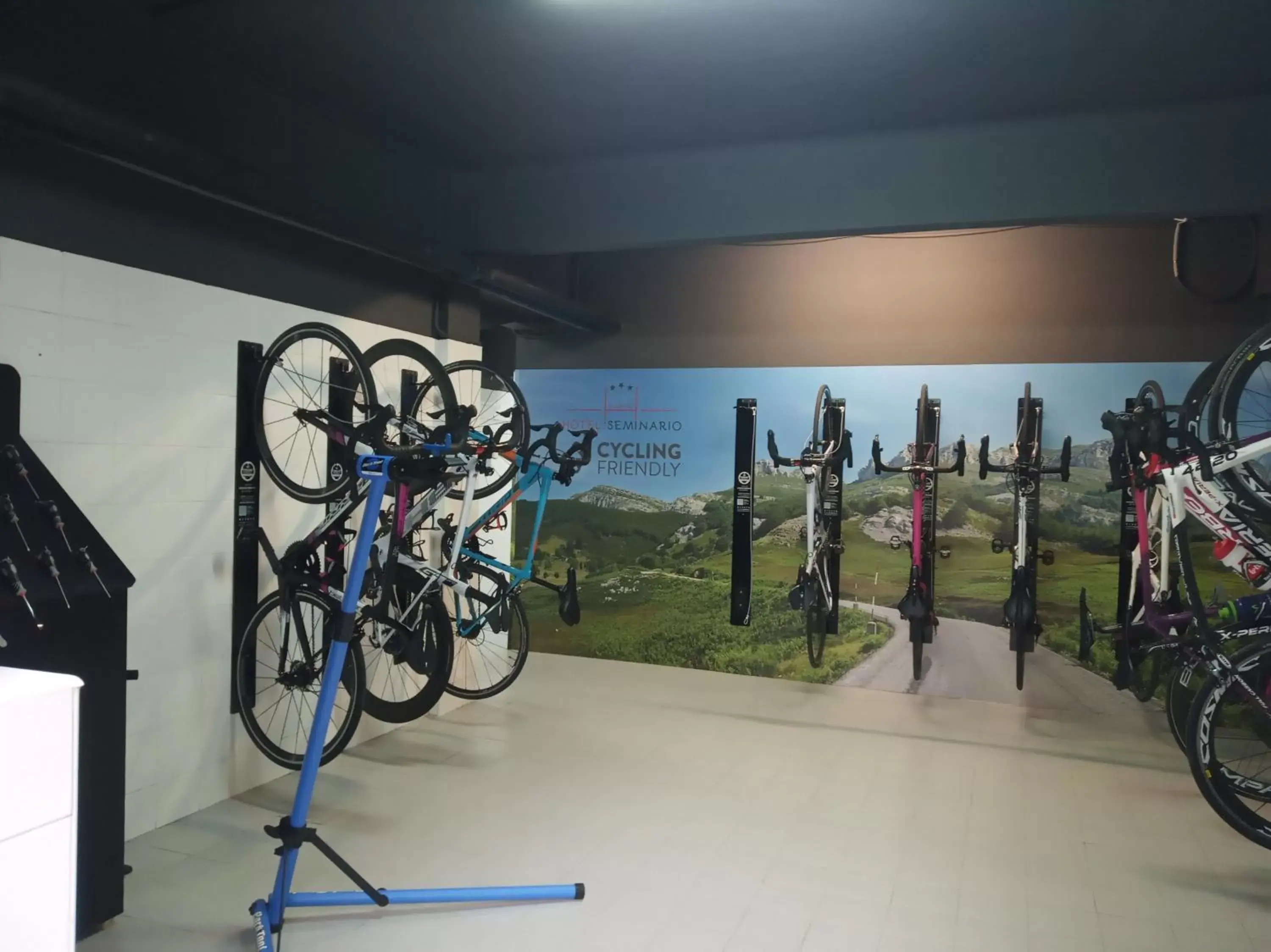 Cycling, Fitness Center/Facilities in Hotel Seminario Aeropuerto Bilbao
