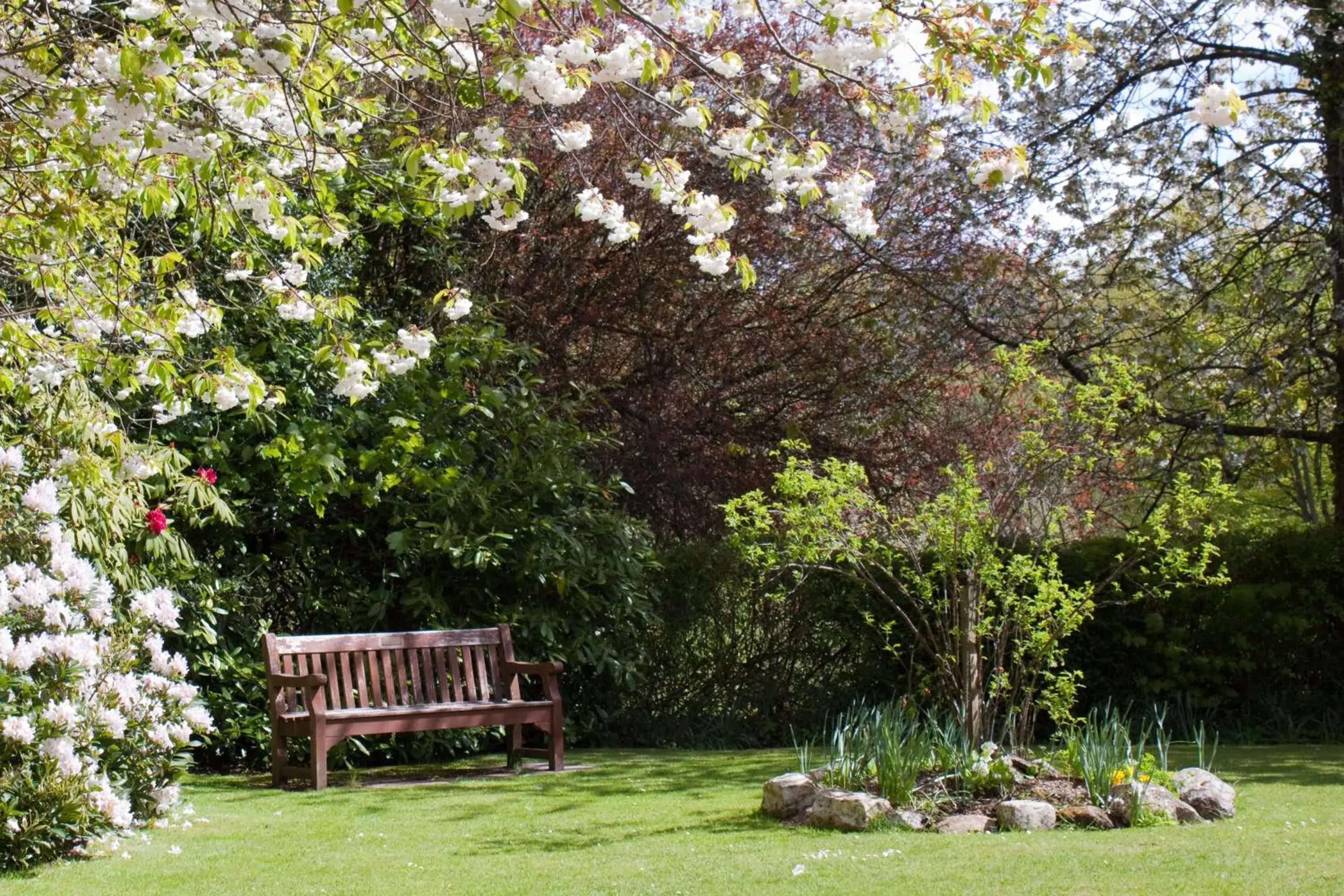 Garden view, Garden in Bankton House Hotel