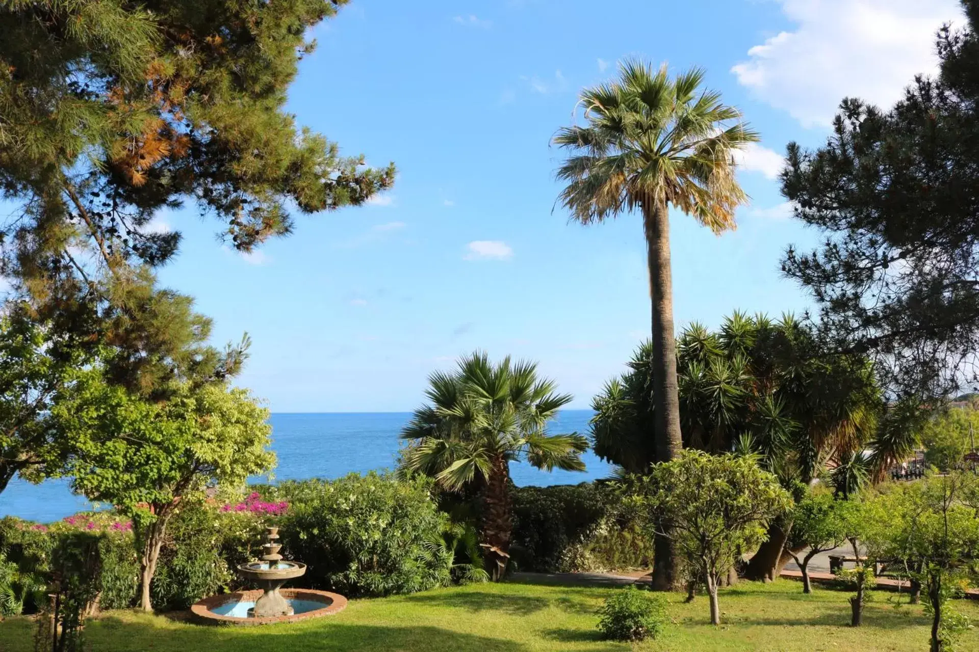 Garden in Villa delle Palme