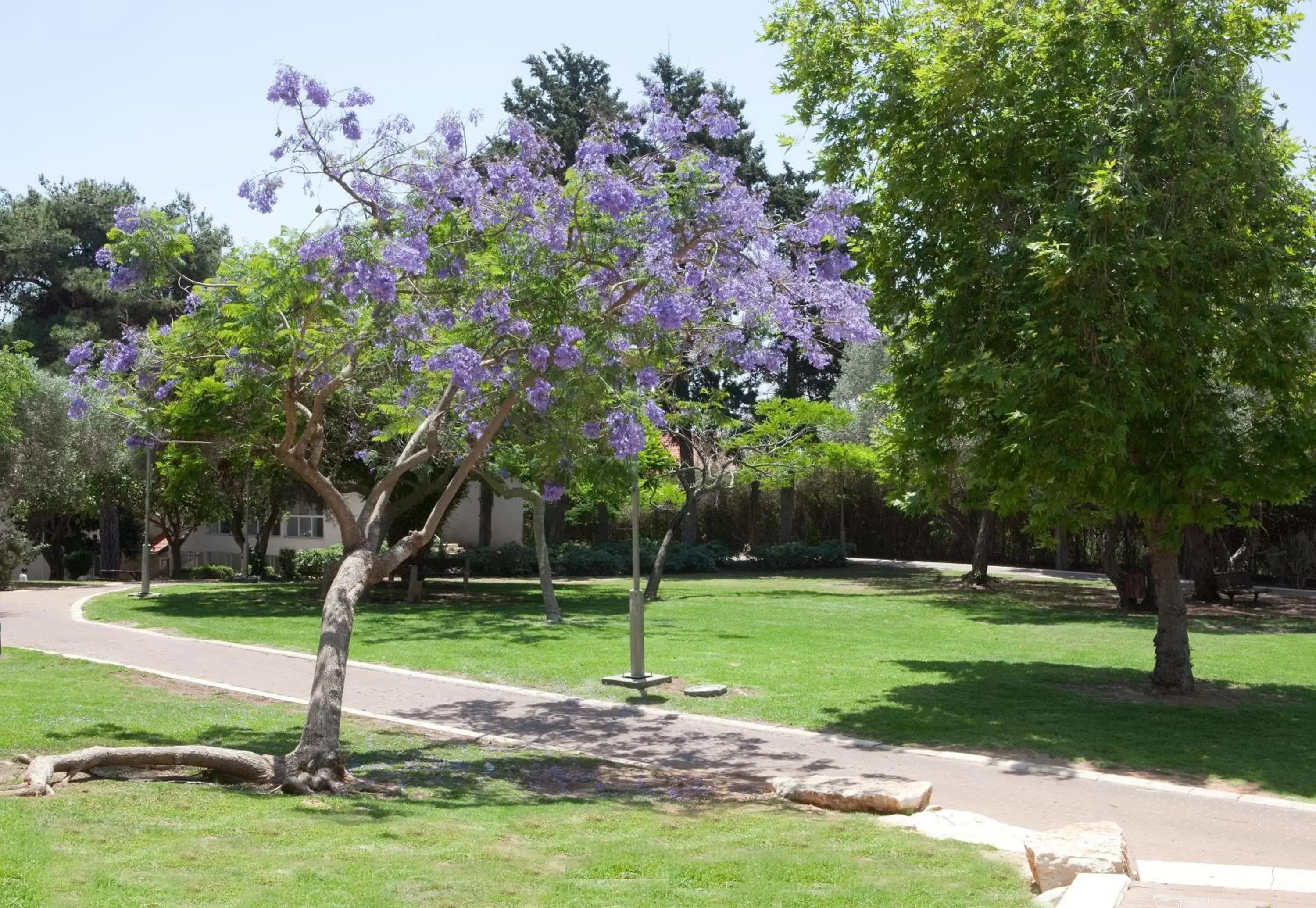 Garden in Eden Inn