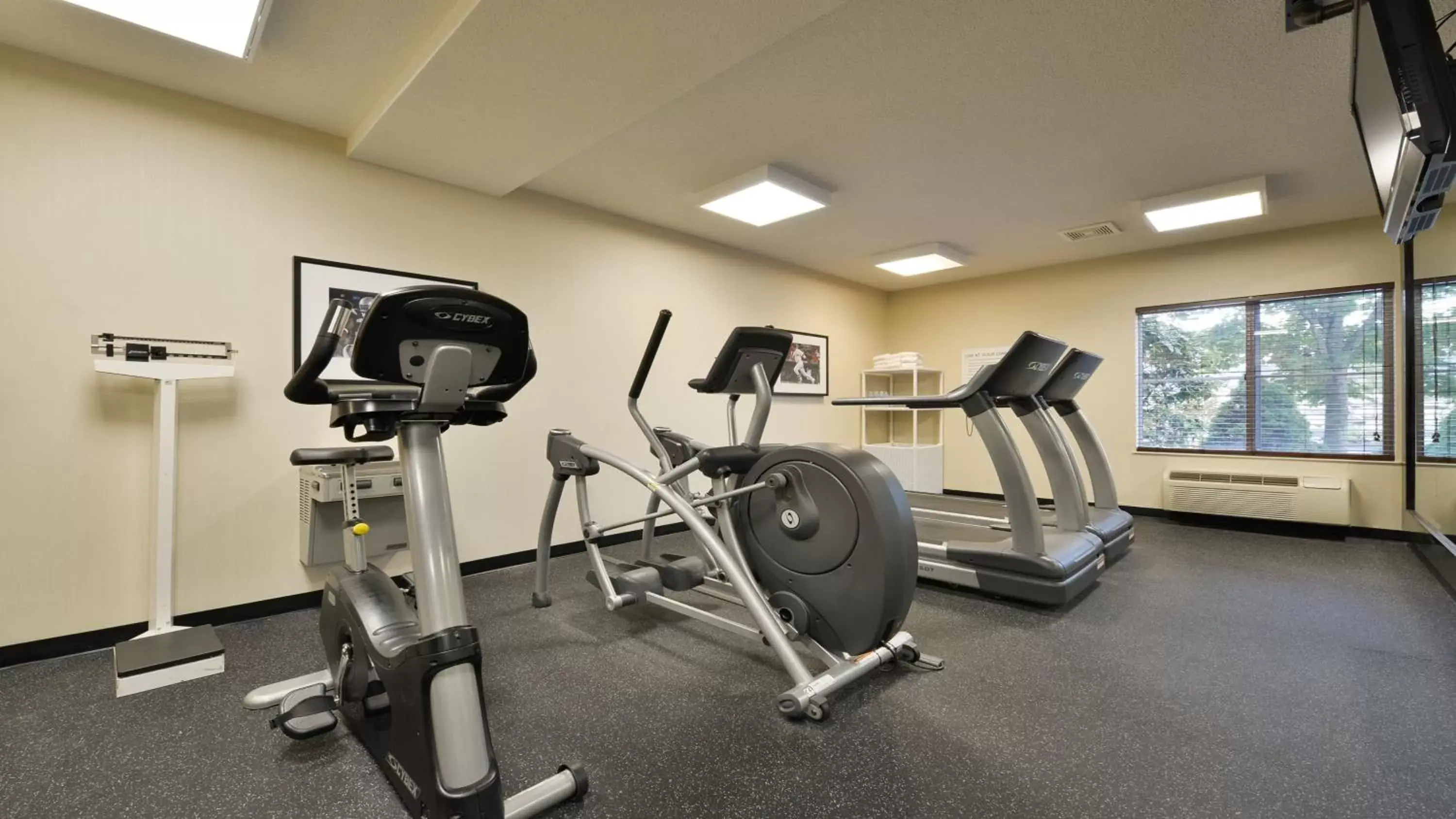 Spa and wellness centre/facilities, Fitness Center/Facilities in Holiday Inn Express Boston/Milford Hotel, an IHG Hotel