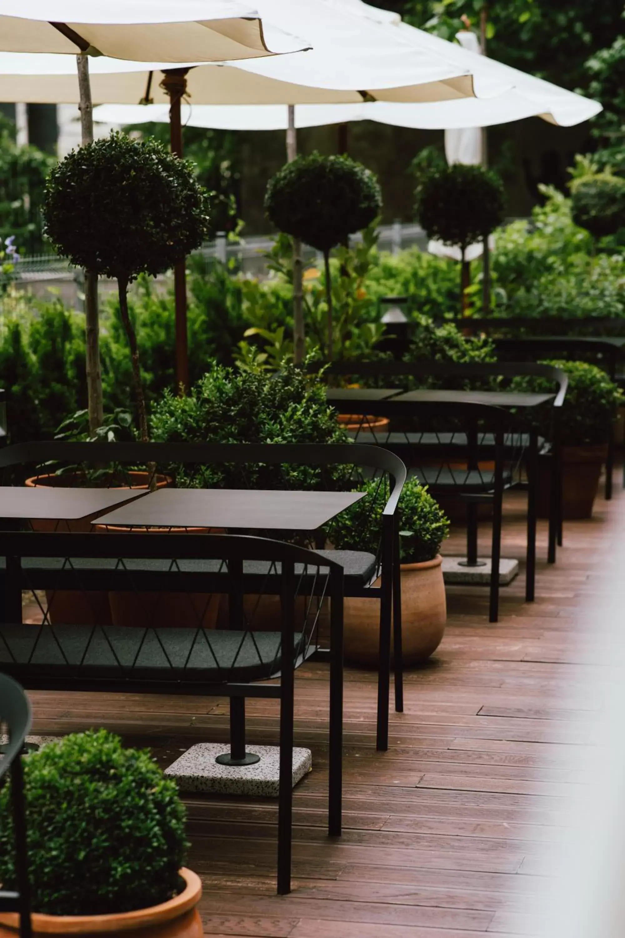 Patio in PURO Warszawa Centrum