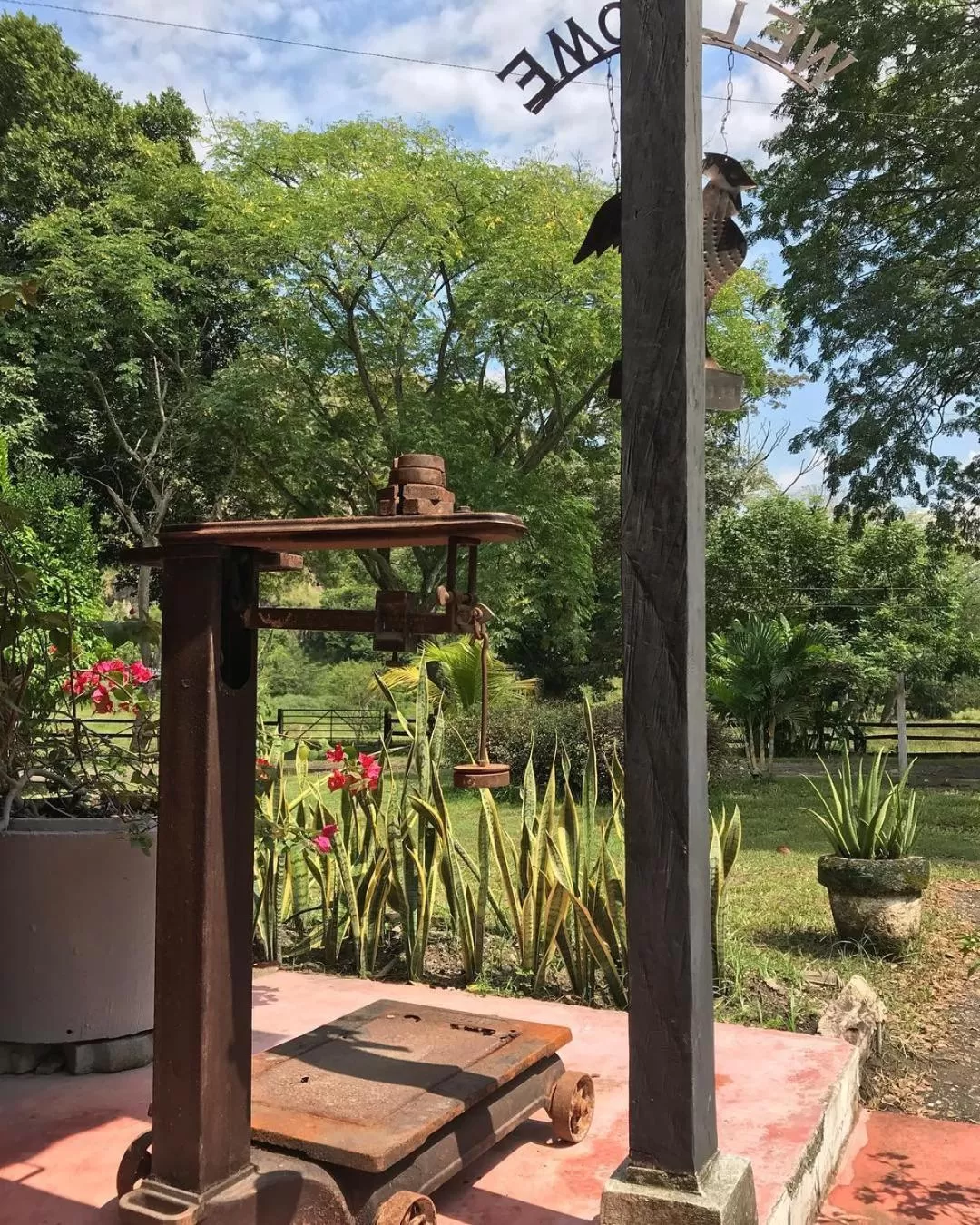 Natural landscape in Waka Hotel Rural