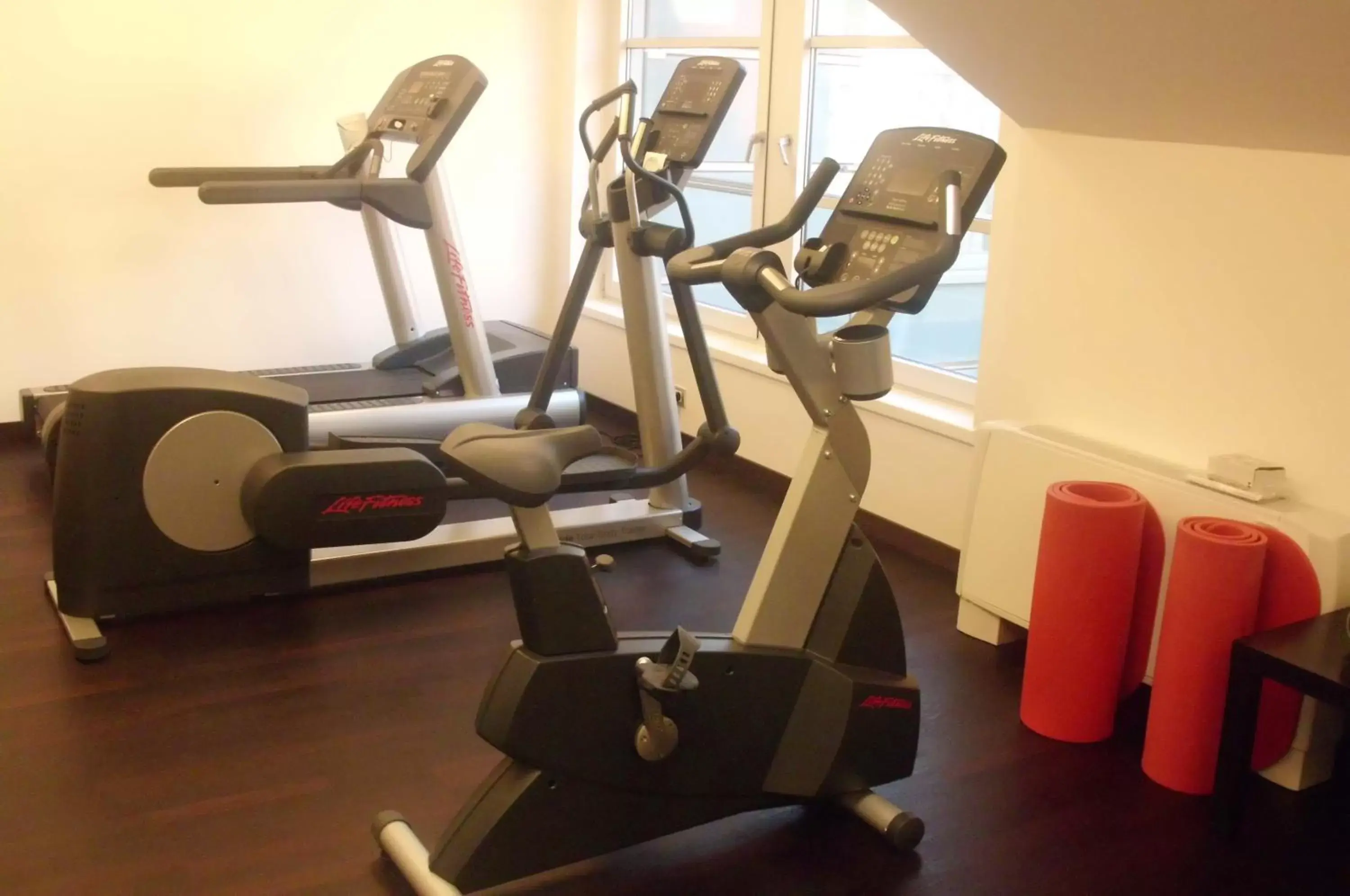 Fitness centre/facilities, Fitness Center/Facilities in Hotel Greif