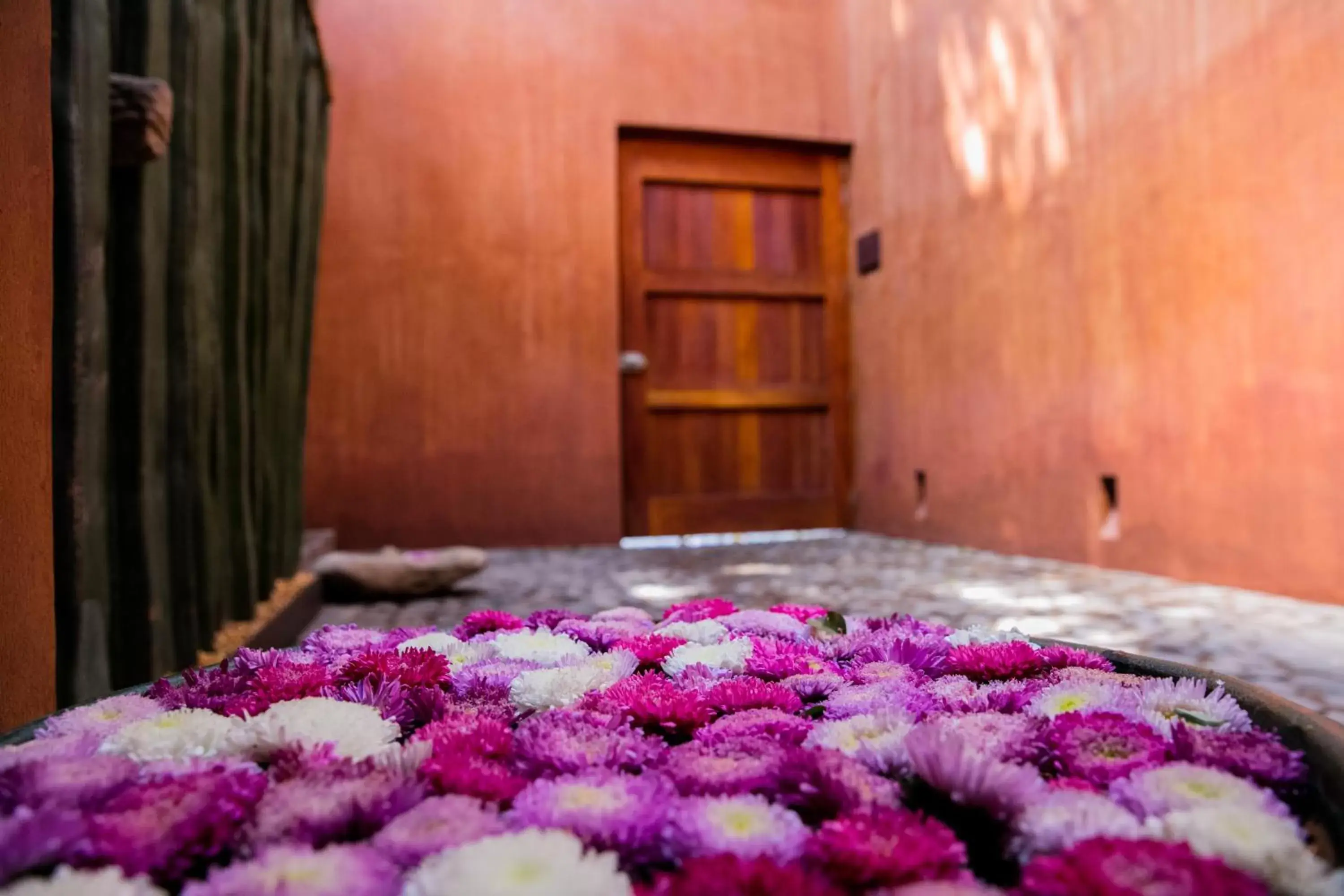 Facade/entrance in Casa Carmen Reforma