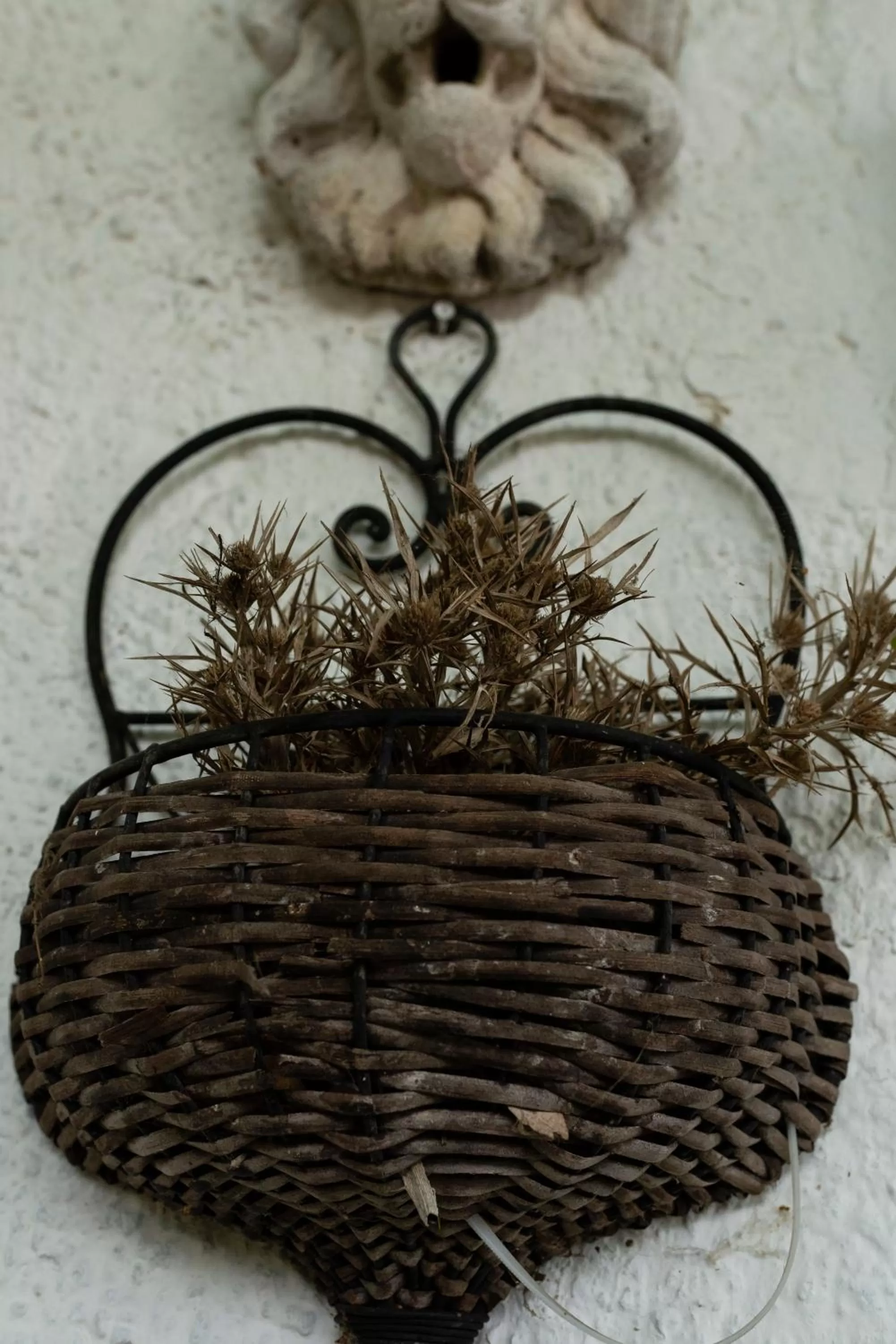 Decorative detail in Su da noi