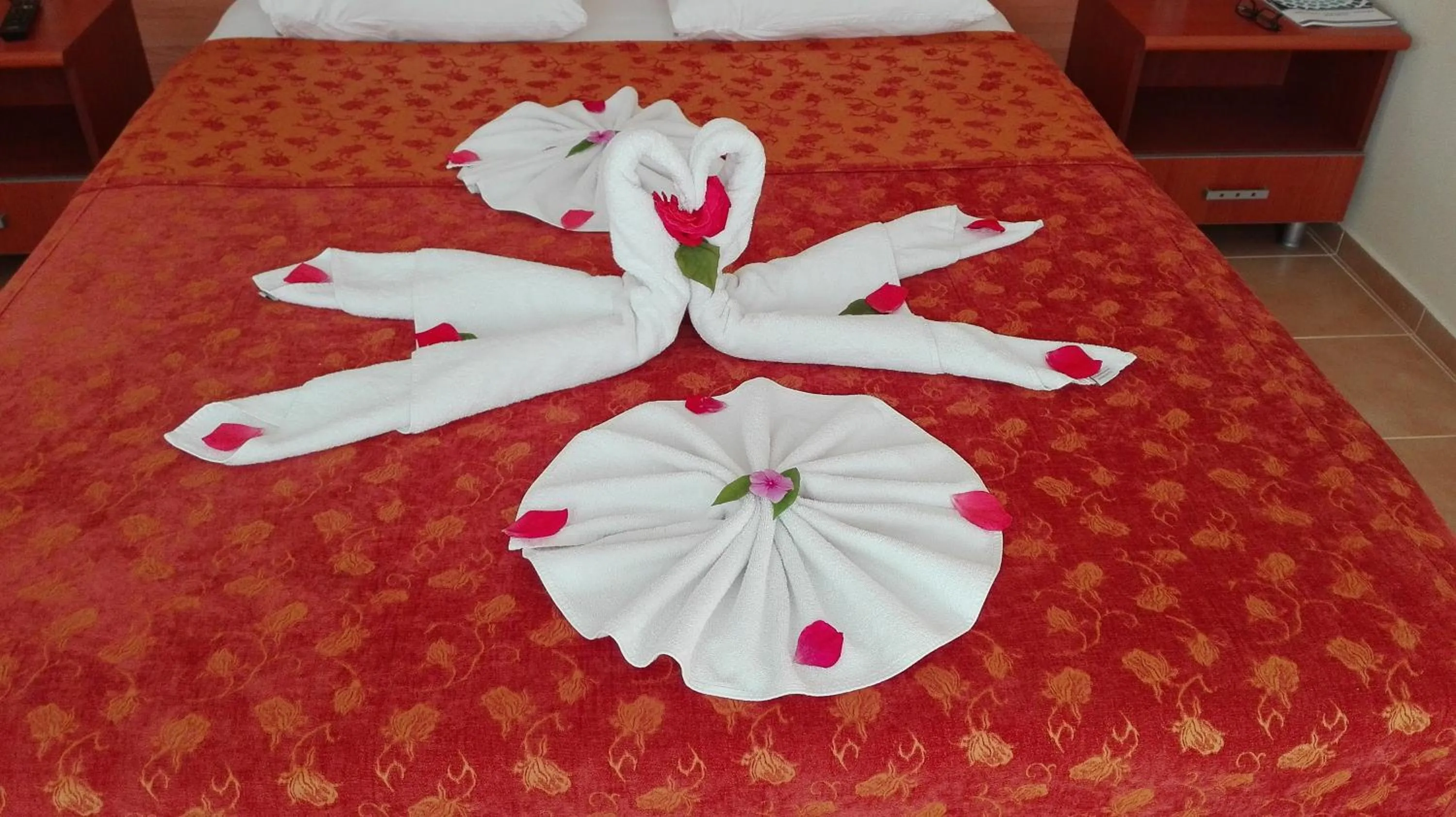 Standard Double or Twin Room in Mavruka Hotel