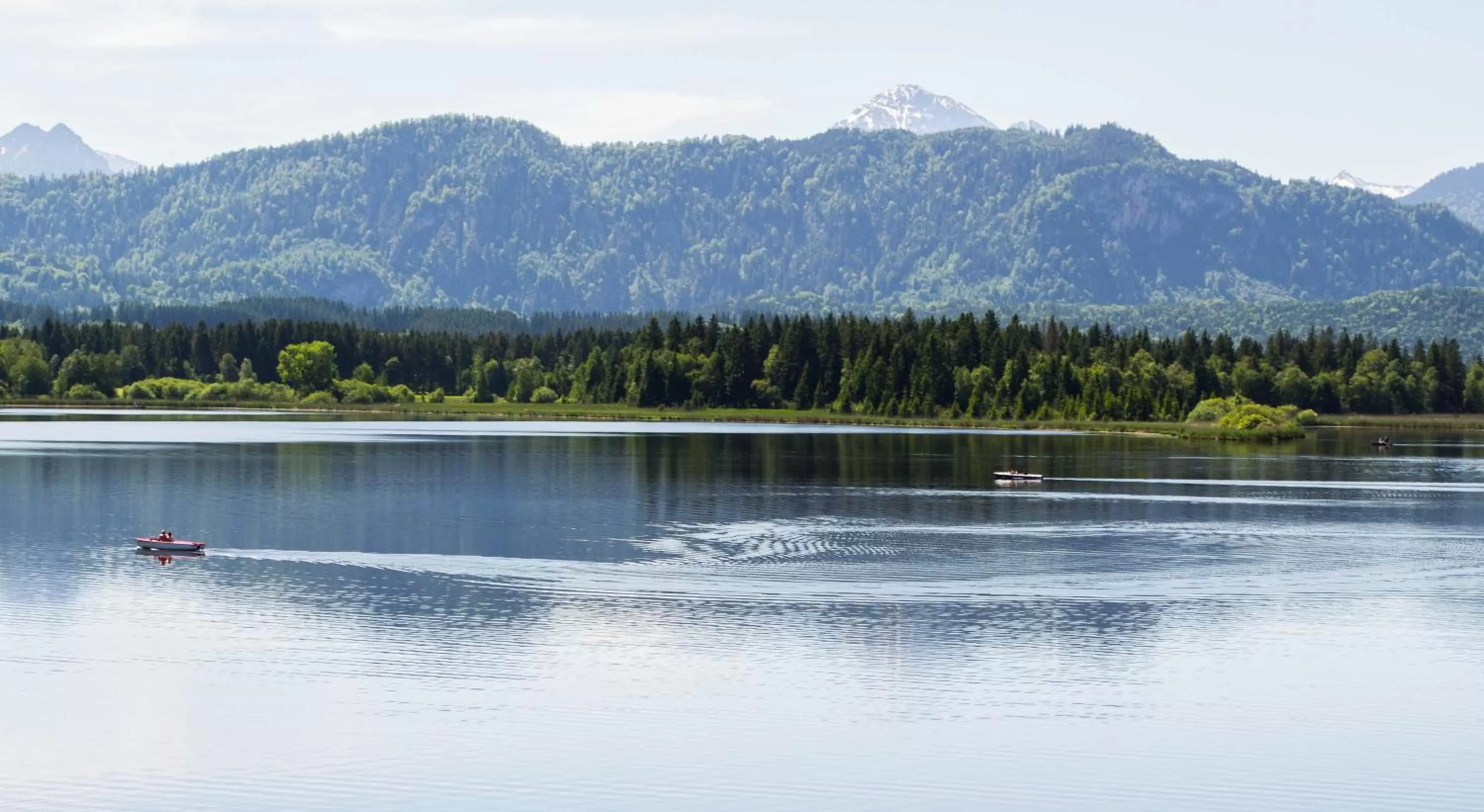 View (from property/room) in Residenz Hopfensee