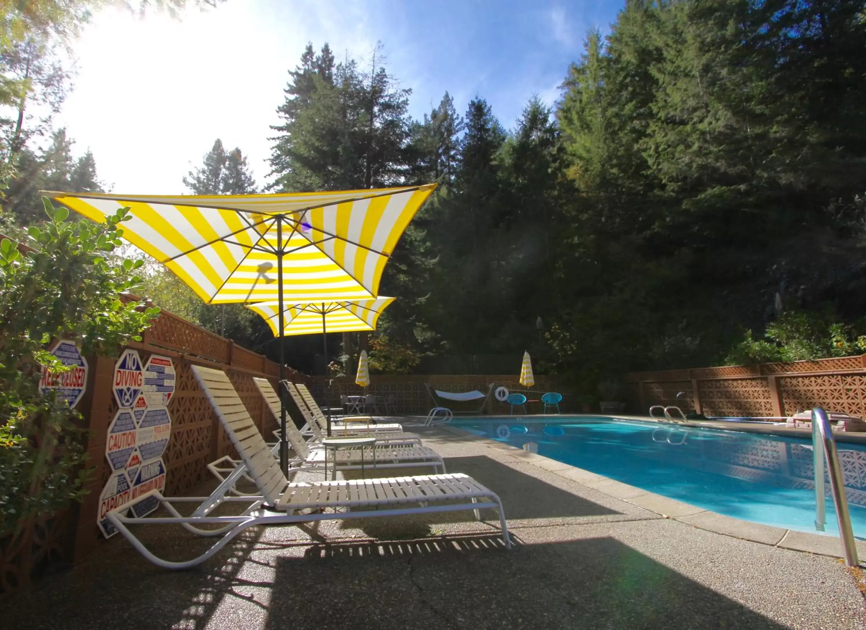 Swimming Pool in The Occidental Lodge