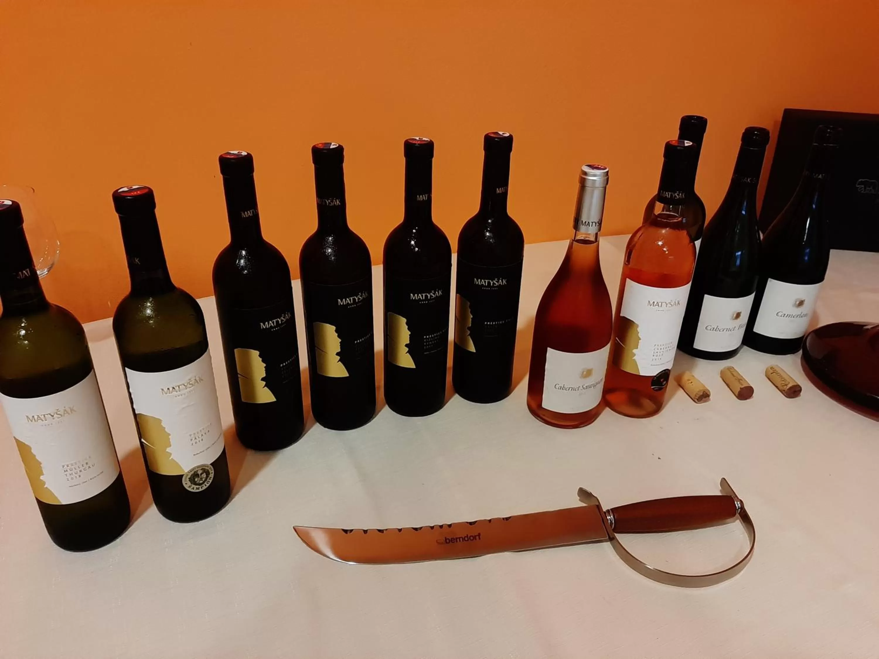 Activities in garni Hotel S.O.G.* * *