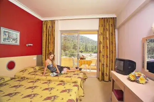 Double Room with Pool View in Grand Viking Hotel