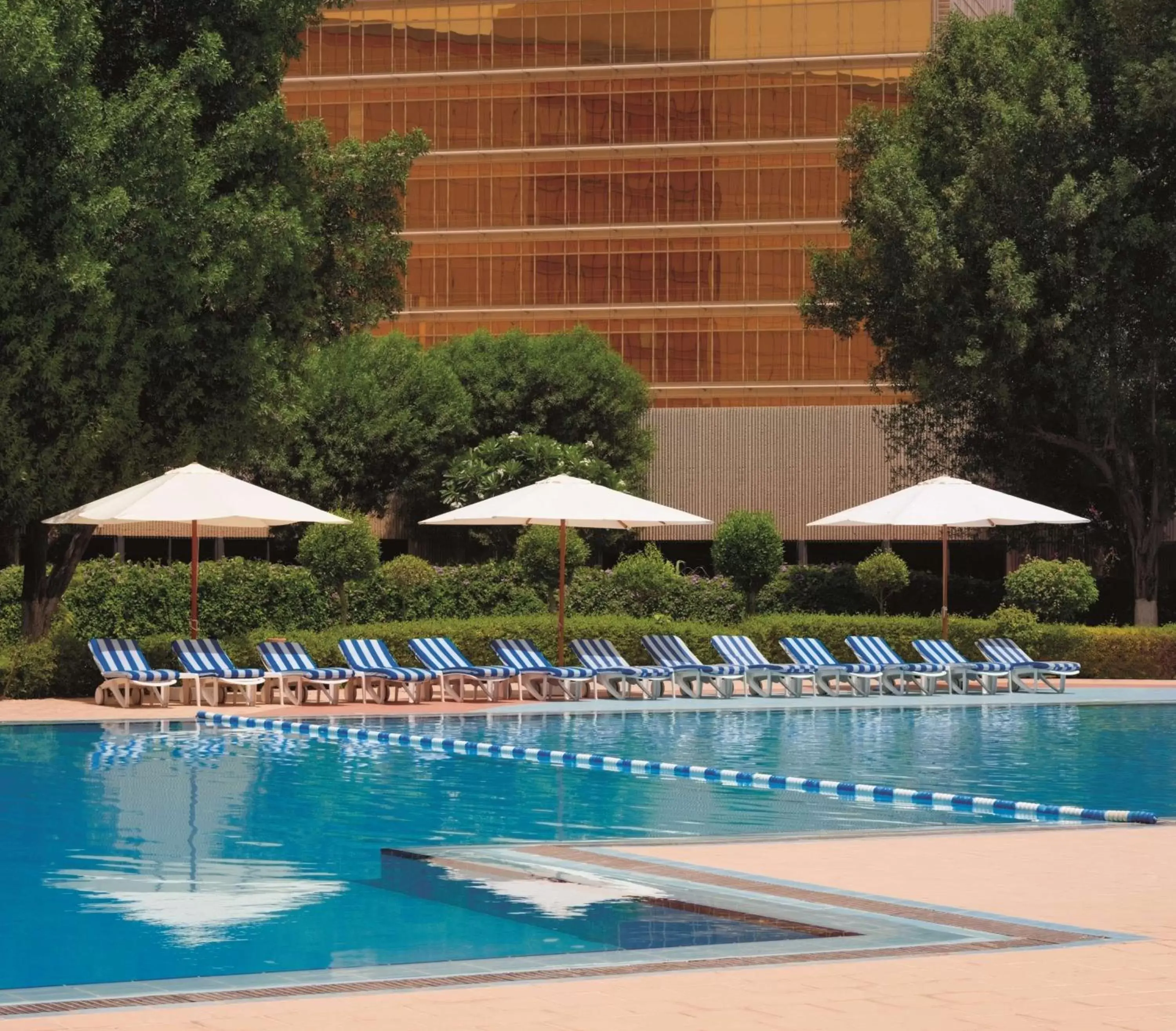 Activities, Swimming Pool in Radisson Blu Hotel, Doha