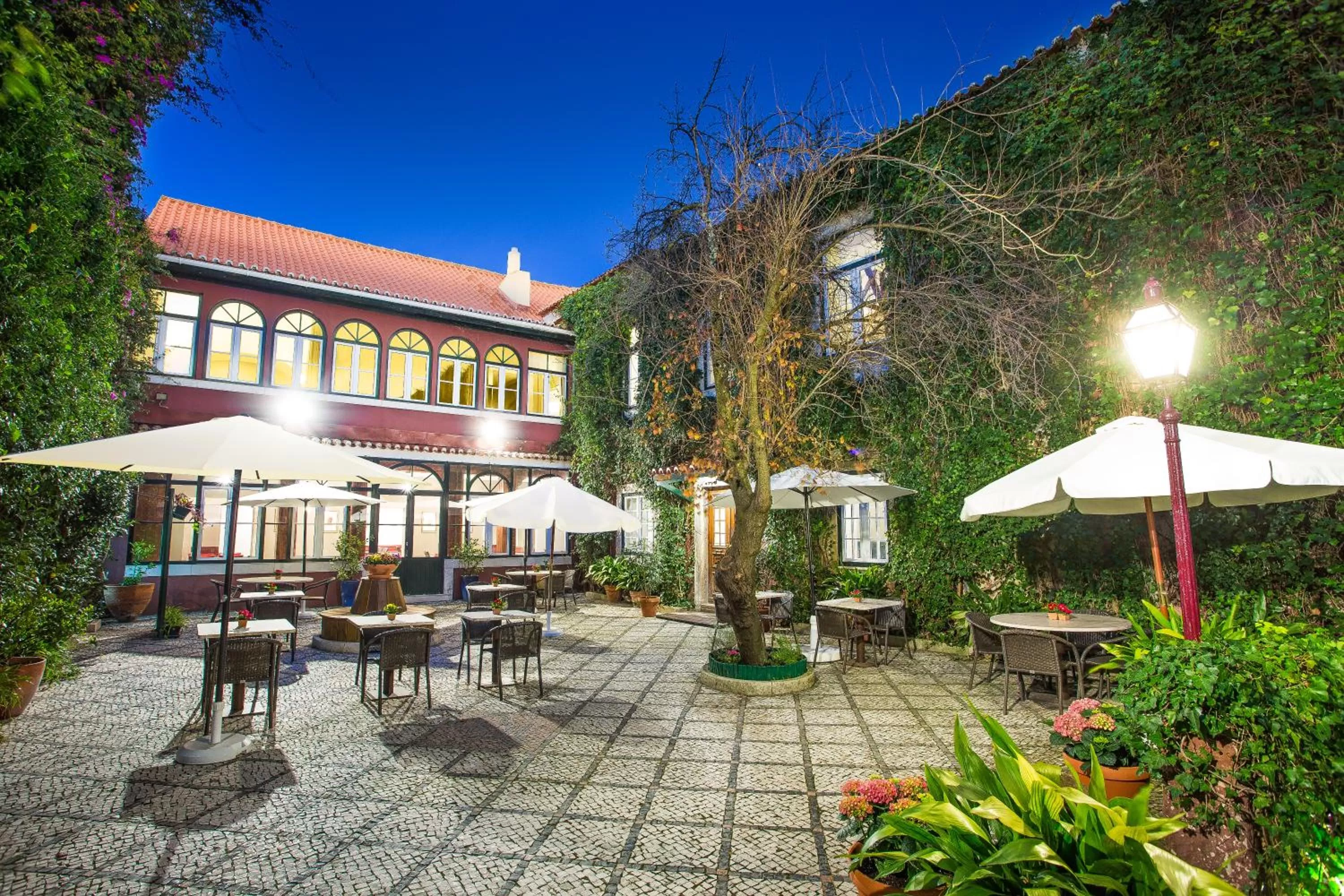 Garden view in York House Lisboa Hotel