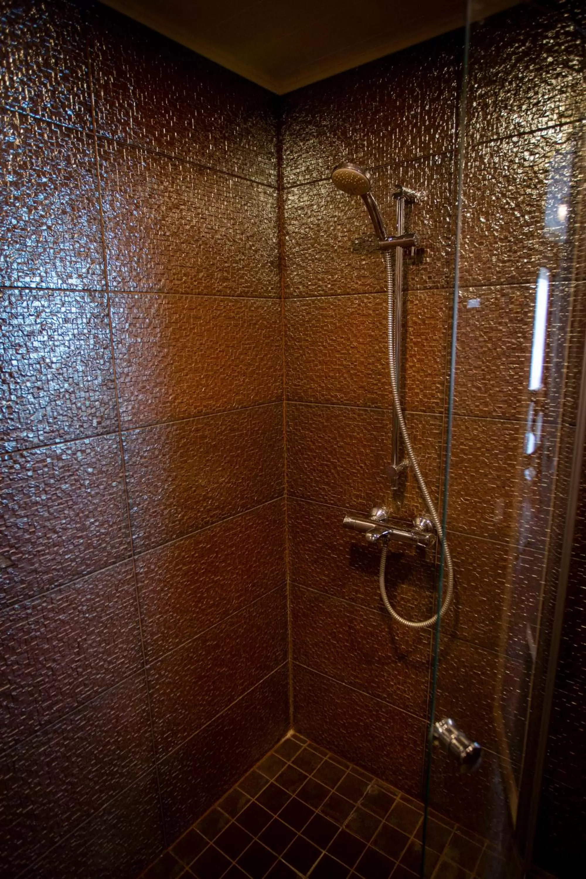 Shower in Hotelli Olof