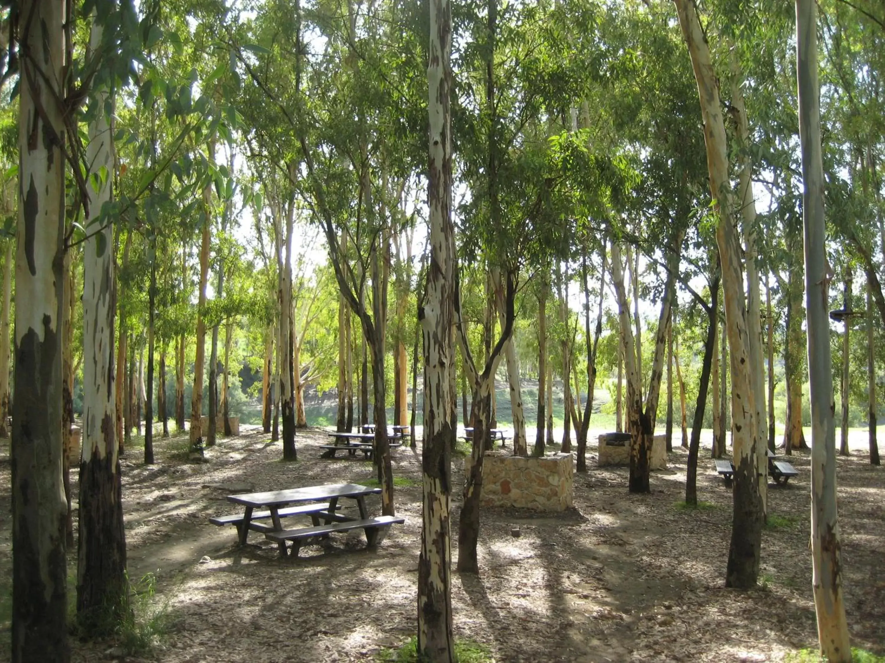 Area and facilities, Garden in Oasi del Lago