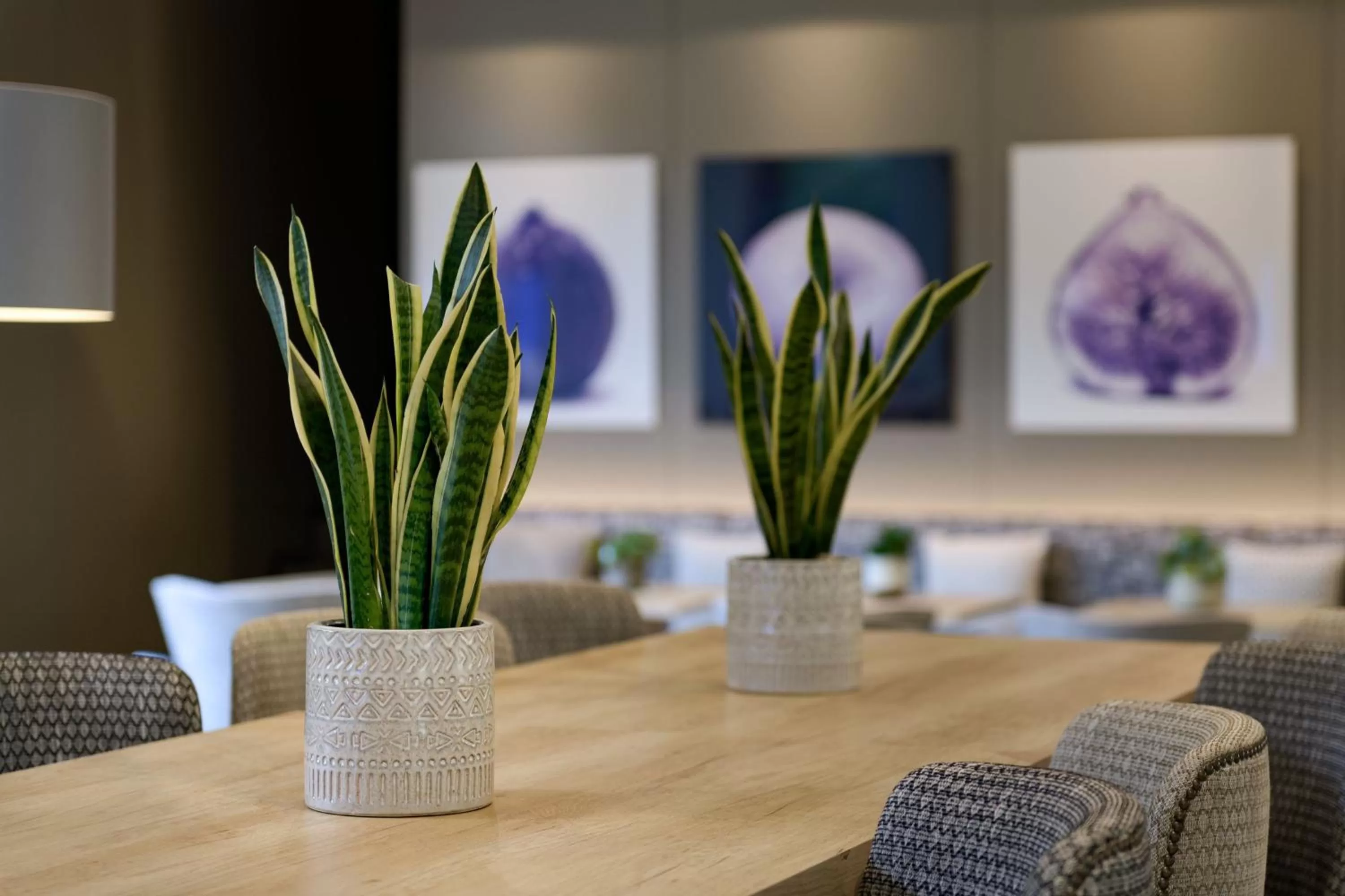 Lounge or bar in AC Hotel Ciutat de Palma by Marriott