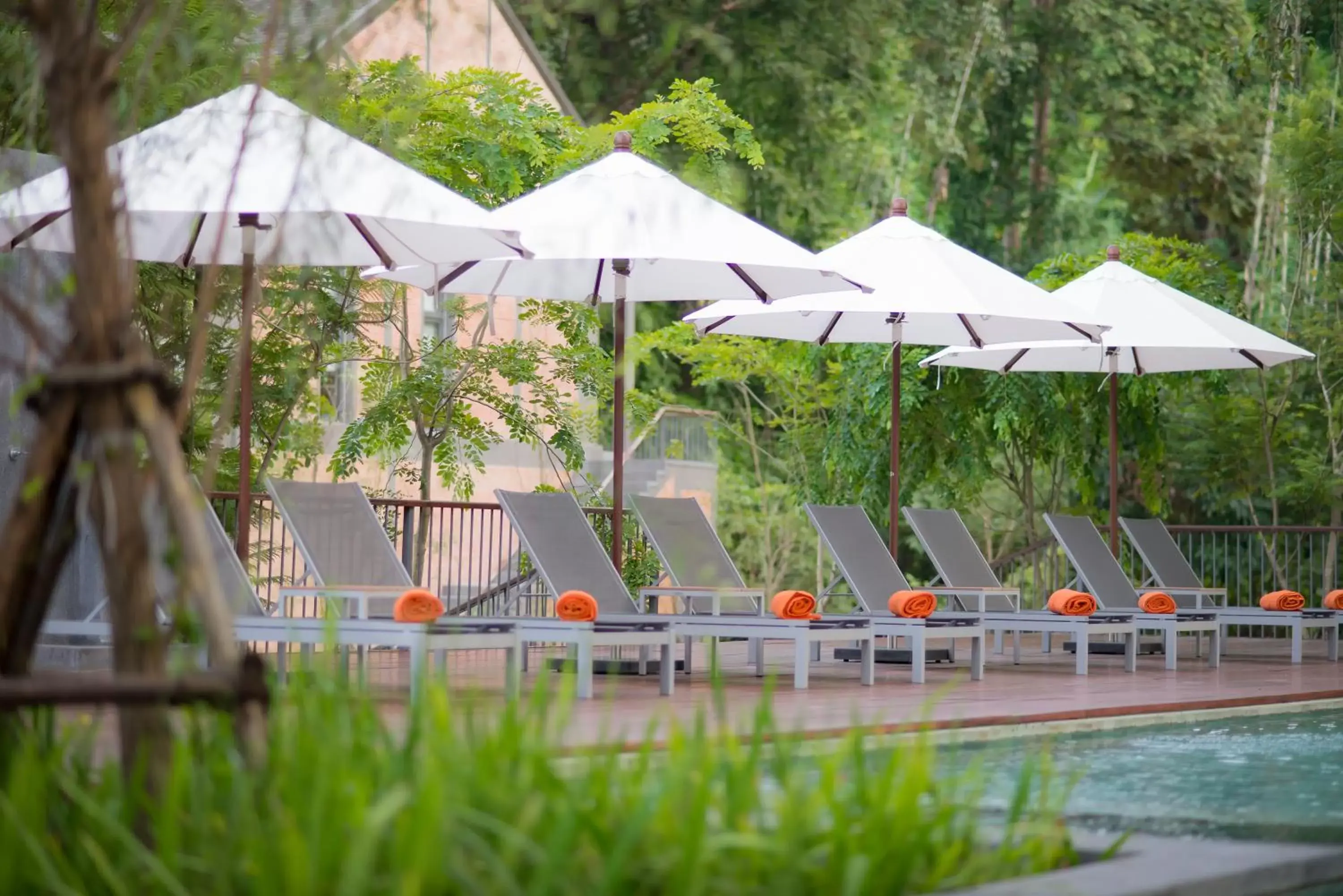 Swimming Pool in Flora Creek Chiang Mai