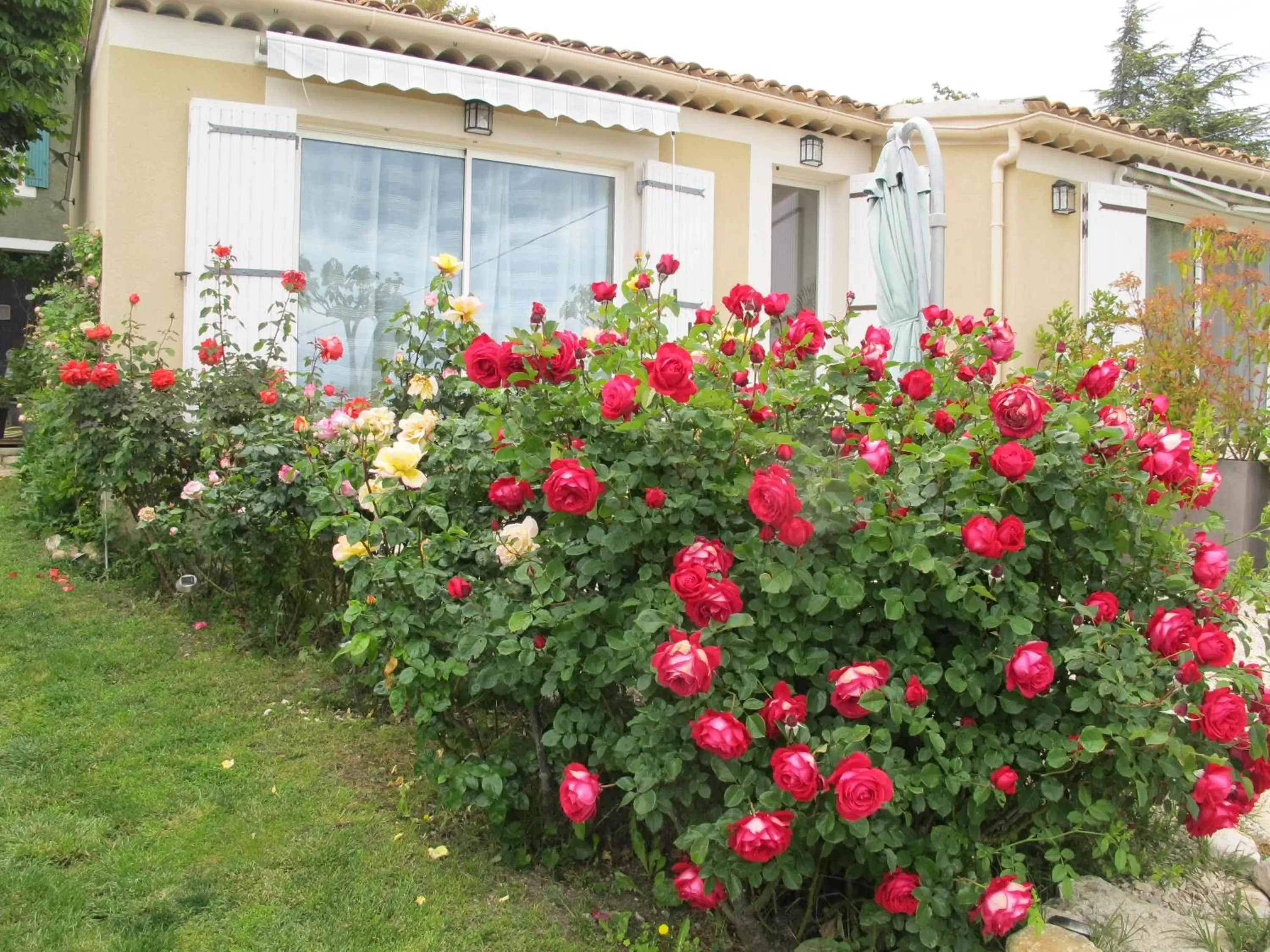 Garden in Lou Cardalines